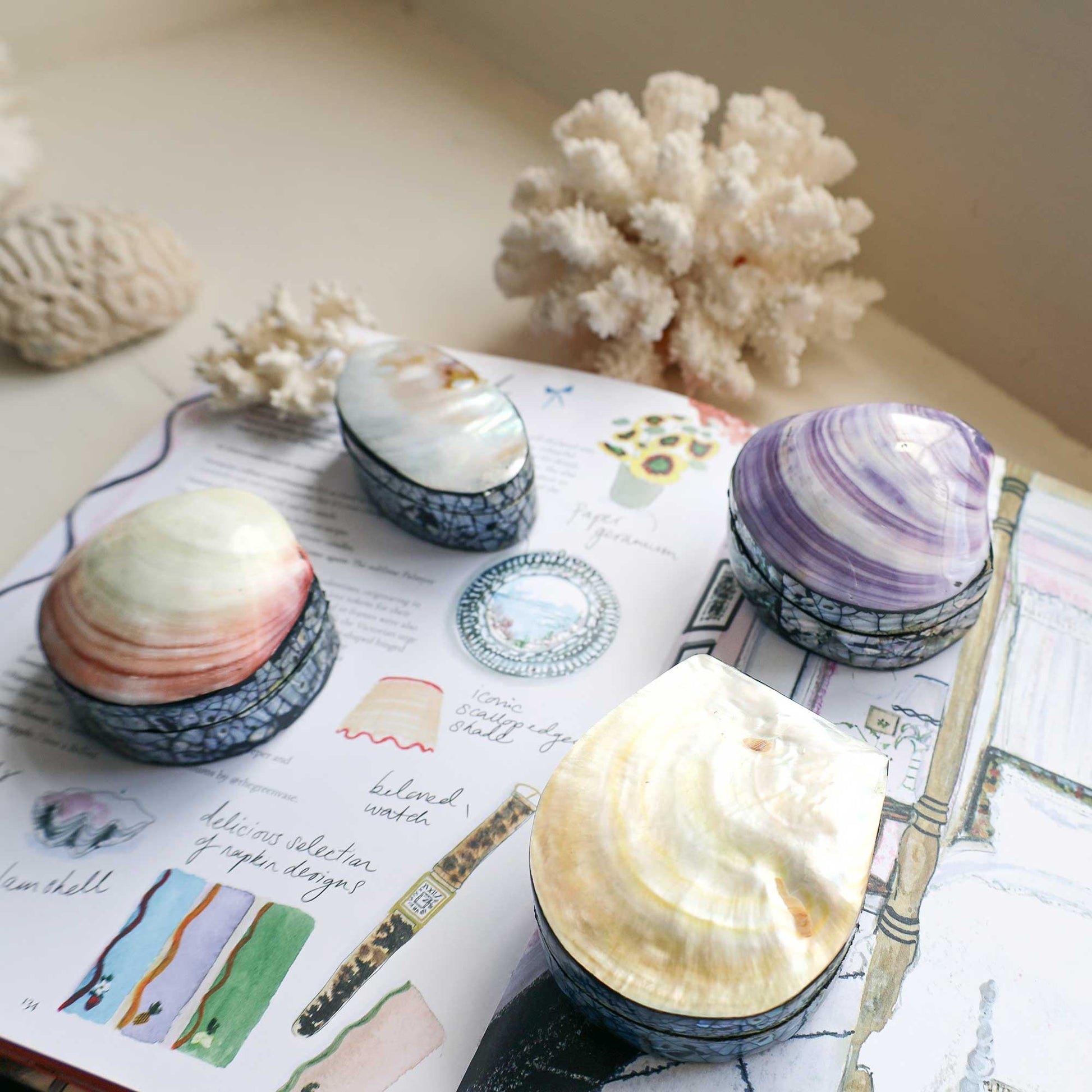 Four decorative seashell-shaped containers with blue patterned bases are arranged on an open book surrounded by coral and shell decor.
