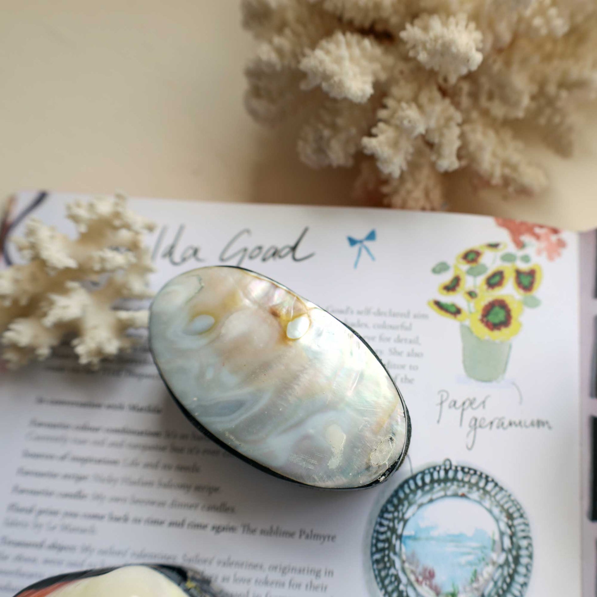 An oval-shaped abalone shell pendant with natural iridescent patterns, displayed on an open book surrounded by dried coral branches.