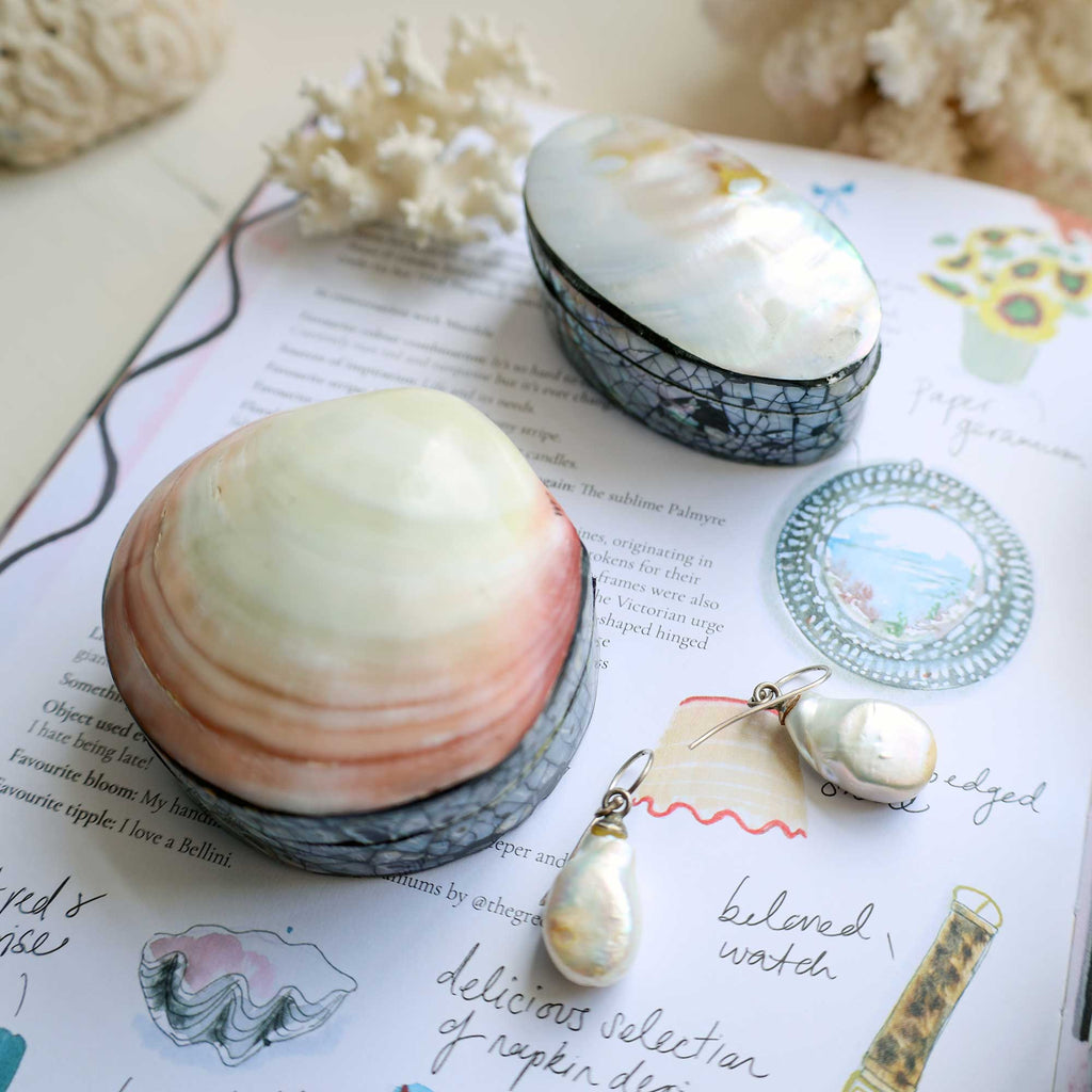 A styled flat-lay of seashell jewelry and shell accessories on an open book. The set includes a large pink-and-cream shell, a smaller cream shell in a blue mosaic box, a matching shell earring, and a pearl drop earring.