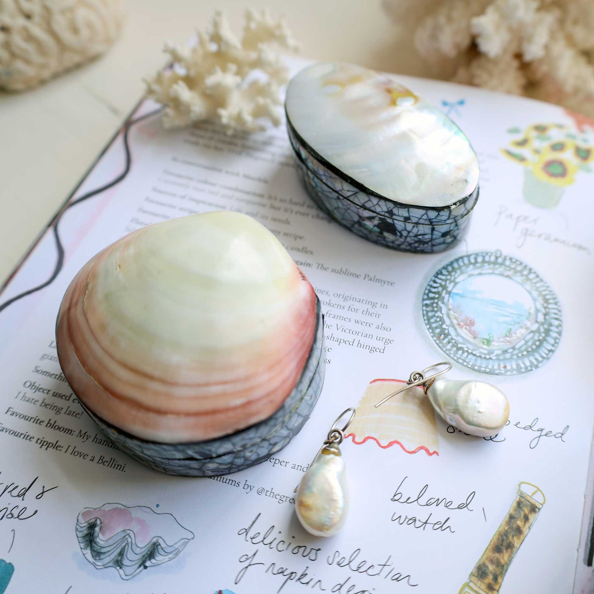 A styled flat-lay of seashell jewelry and shell accessories on an open book. The set includes a large pink-and-cream shell, a smaller cream shell in a blue mosaic box, a matching shell earring, and a pearl drop earring.