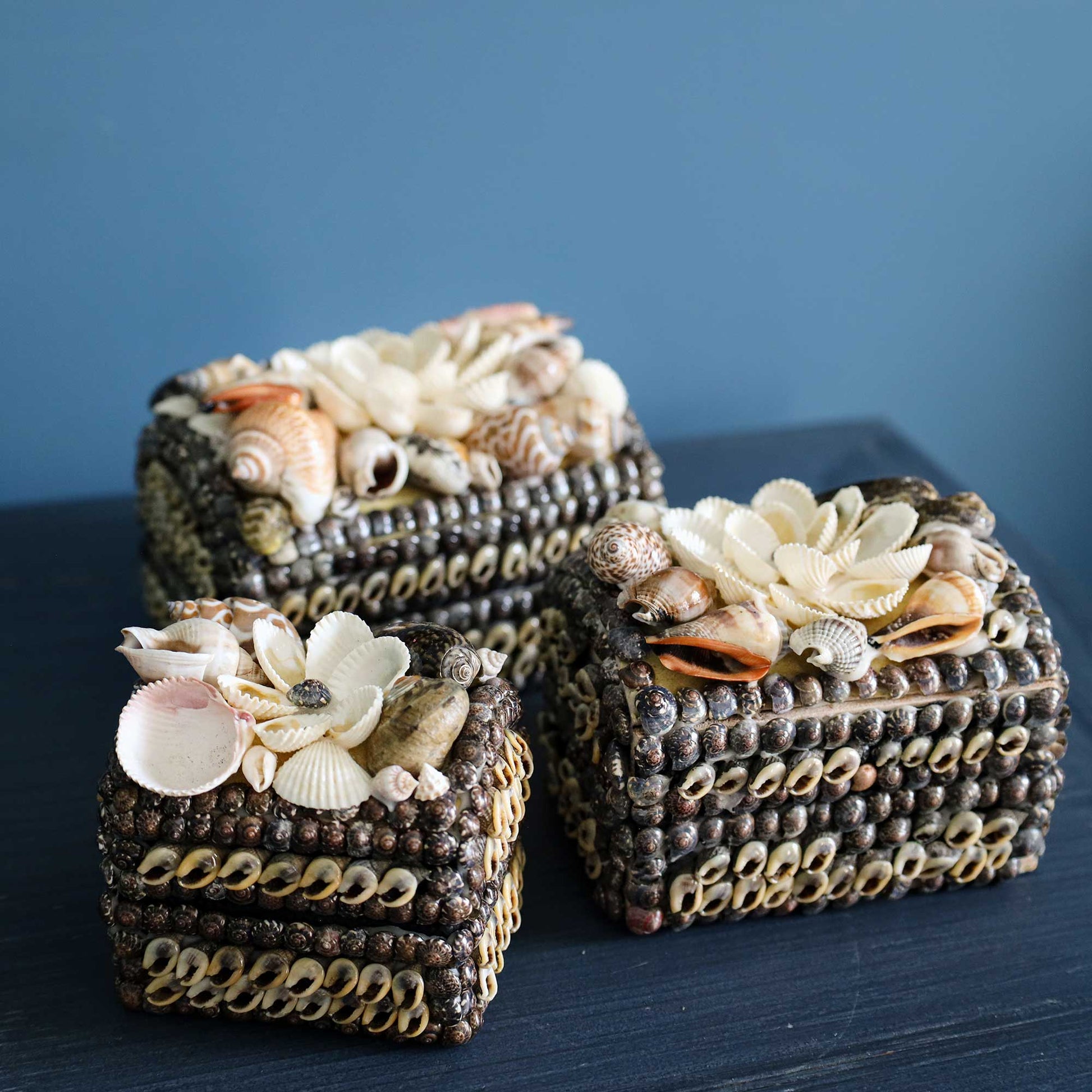 Medium Vintage Shell Box