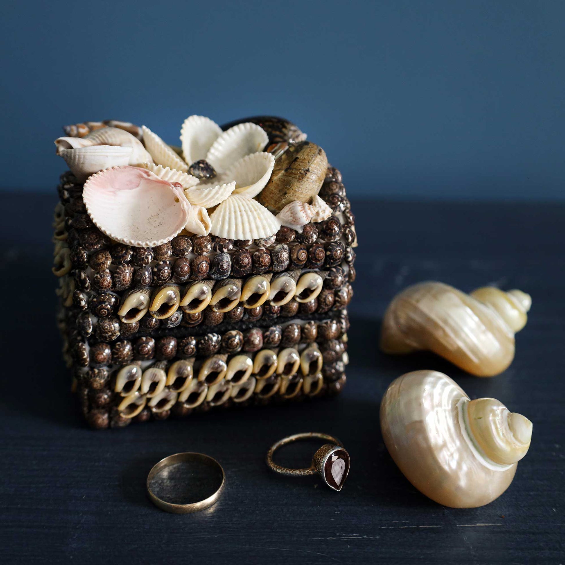 A decorative square jewelry box made from stacked seashells and small shells on the front, topped with larger seashells, displayed on a dark blue surface with two rings and two additional shells nearby.
