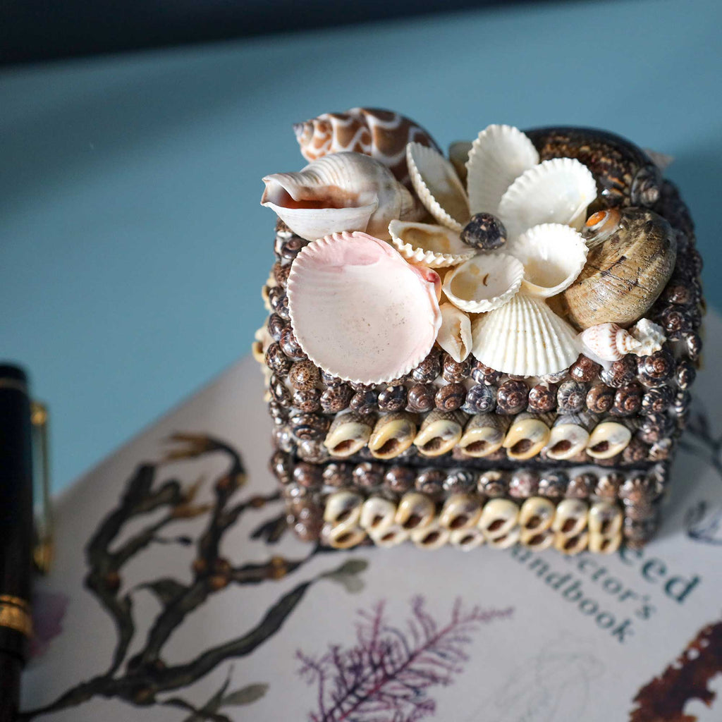 A decorative seashell and bead heart-shaped box placed on an open book, with a black pen partially visible at the left edge against a soft blue background.