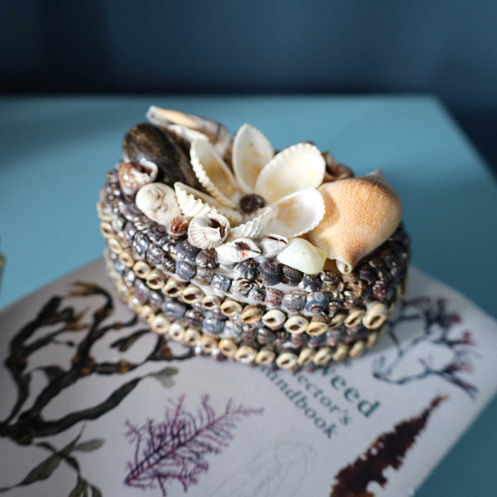 A handmade seashell and shell bead jewelry box styled with white and brown seashells on top, resting on a printed book over a light blue surface.