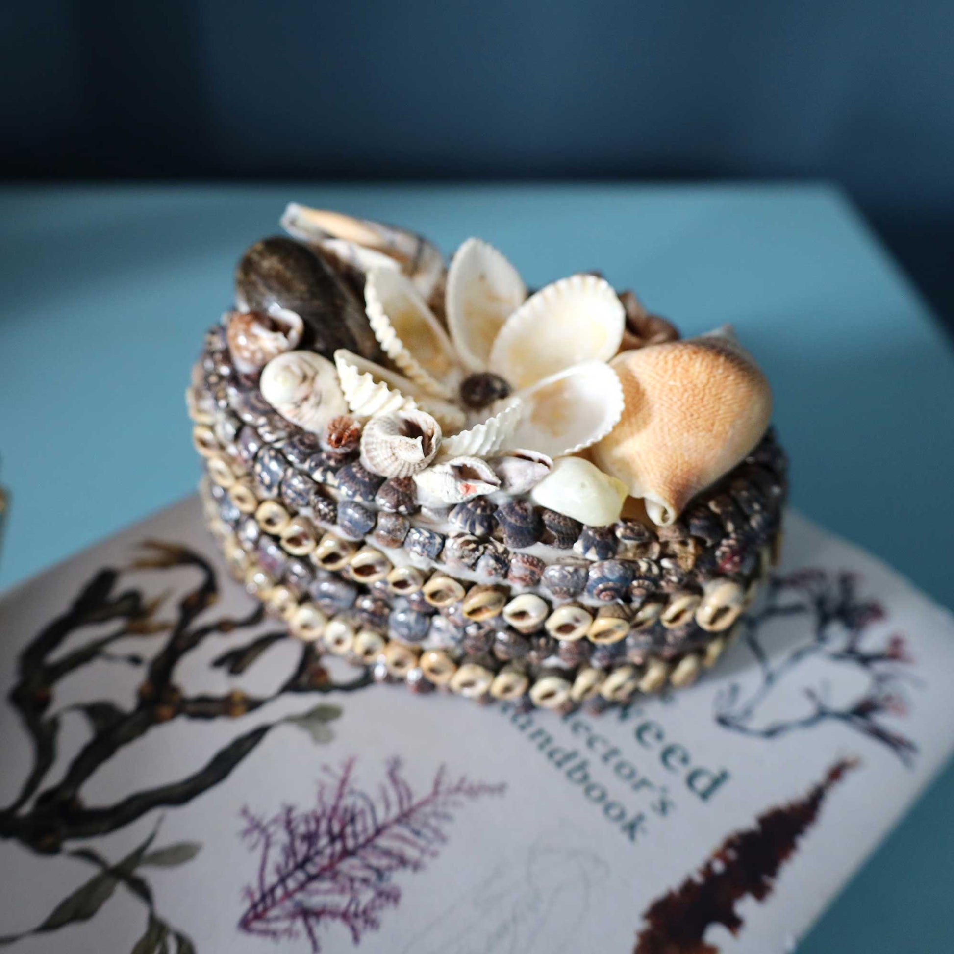 A handmade seashell and shell bead jewelry box styled with white and brown seashells on top, resting on a printed book over a light blue surface.