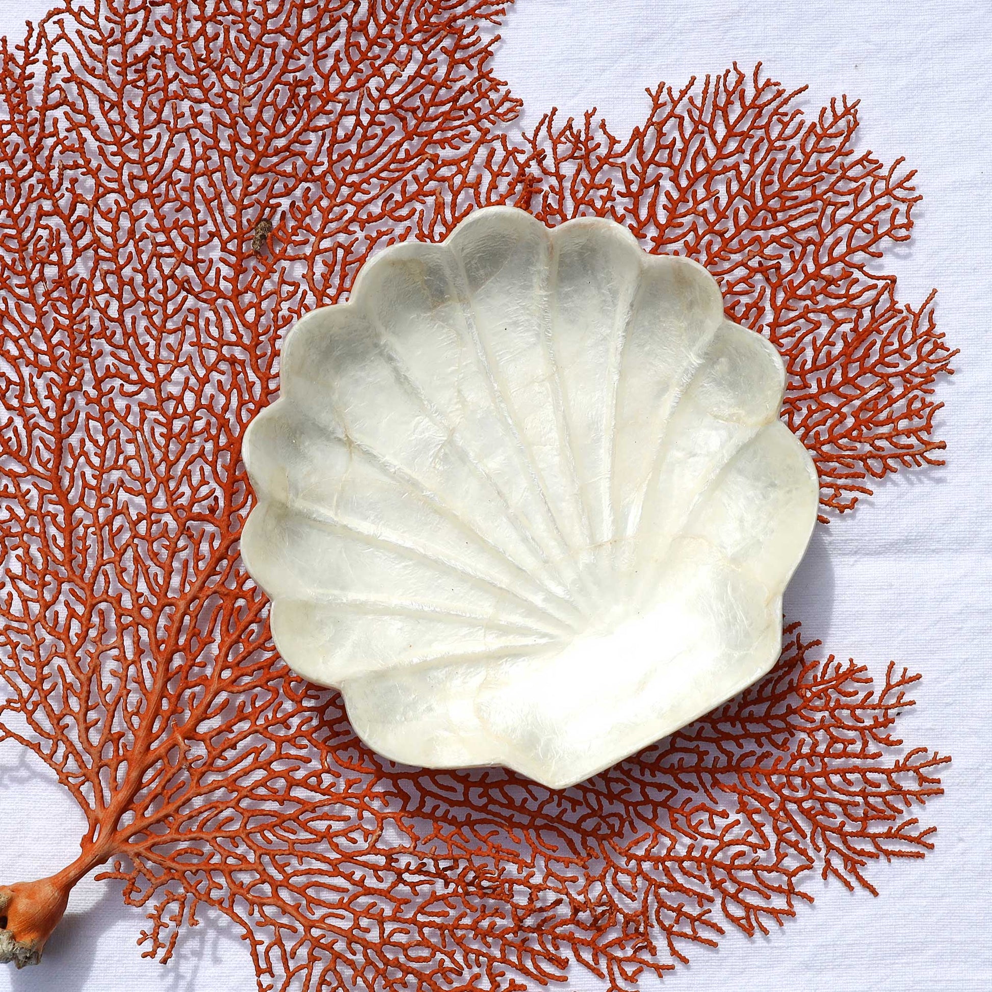 A scallop-shaped white shell dish or tray placed on top of orange-red coral branches laid on a white fabric background.