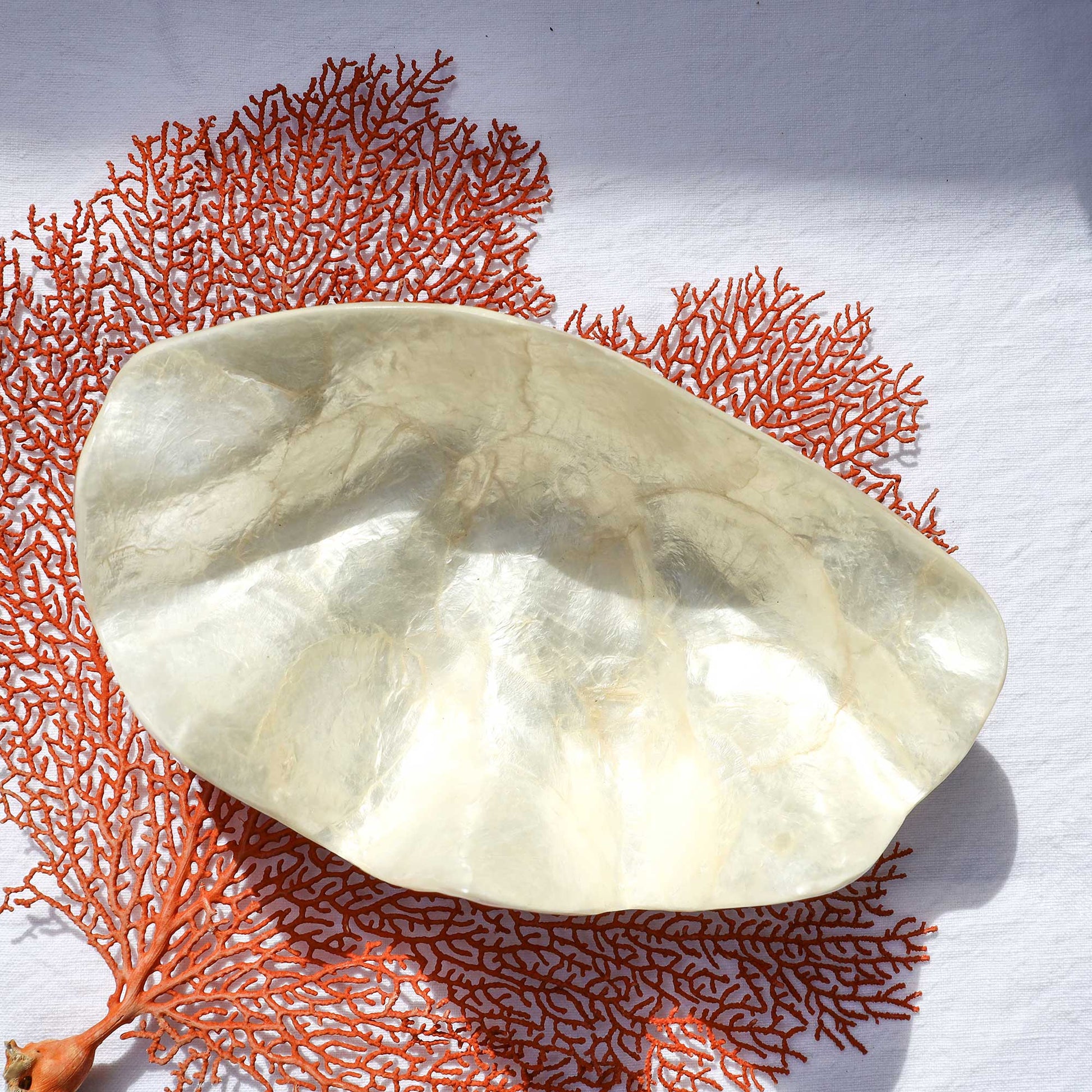A polished white stone or shell-like decorative object with soft cream marbling, photographed on a white surface and layered over a coral fan prop.