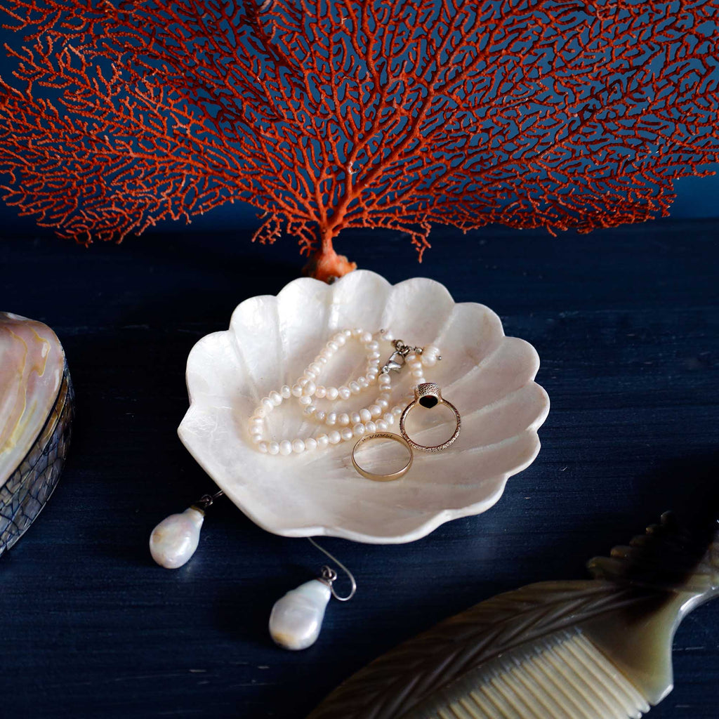 A white scalloped shell-shaped jewelry tray holding pearl strands and rings, styled on a dark blue surface with coral, earrings, and shells around it.