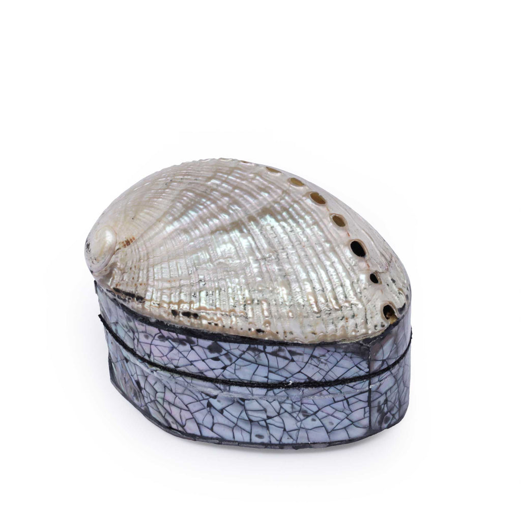 A decorative abalone shell and crackled glass box on a solid white background.