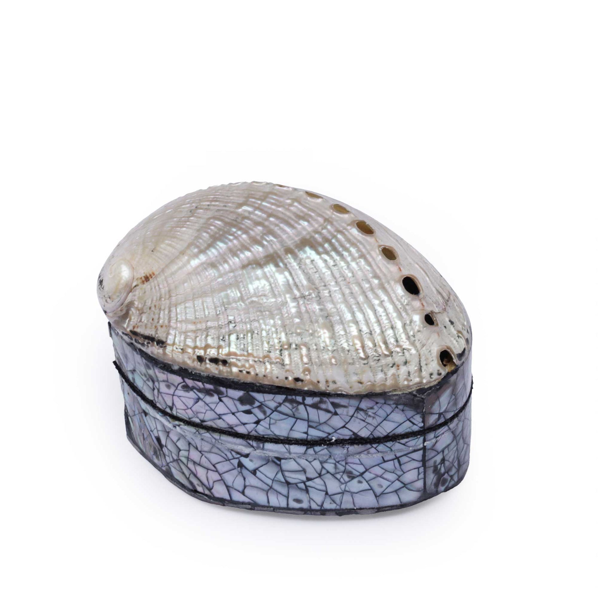 A decorative abalone shell and crackled glass box on a solid white background.