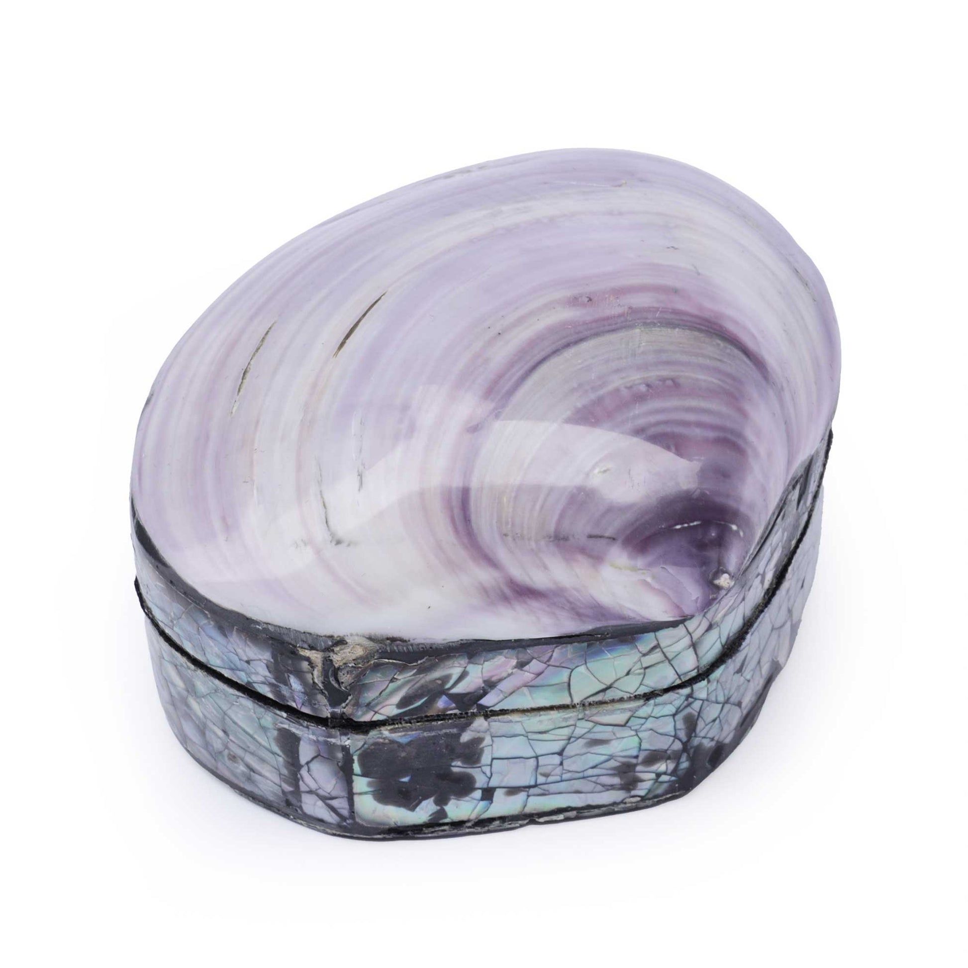 A small oval shell-shaped box with a glossy lavender and white striped top and a dark iridescent cracked-pearl lower half, photographed on a plain white background.