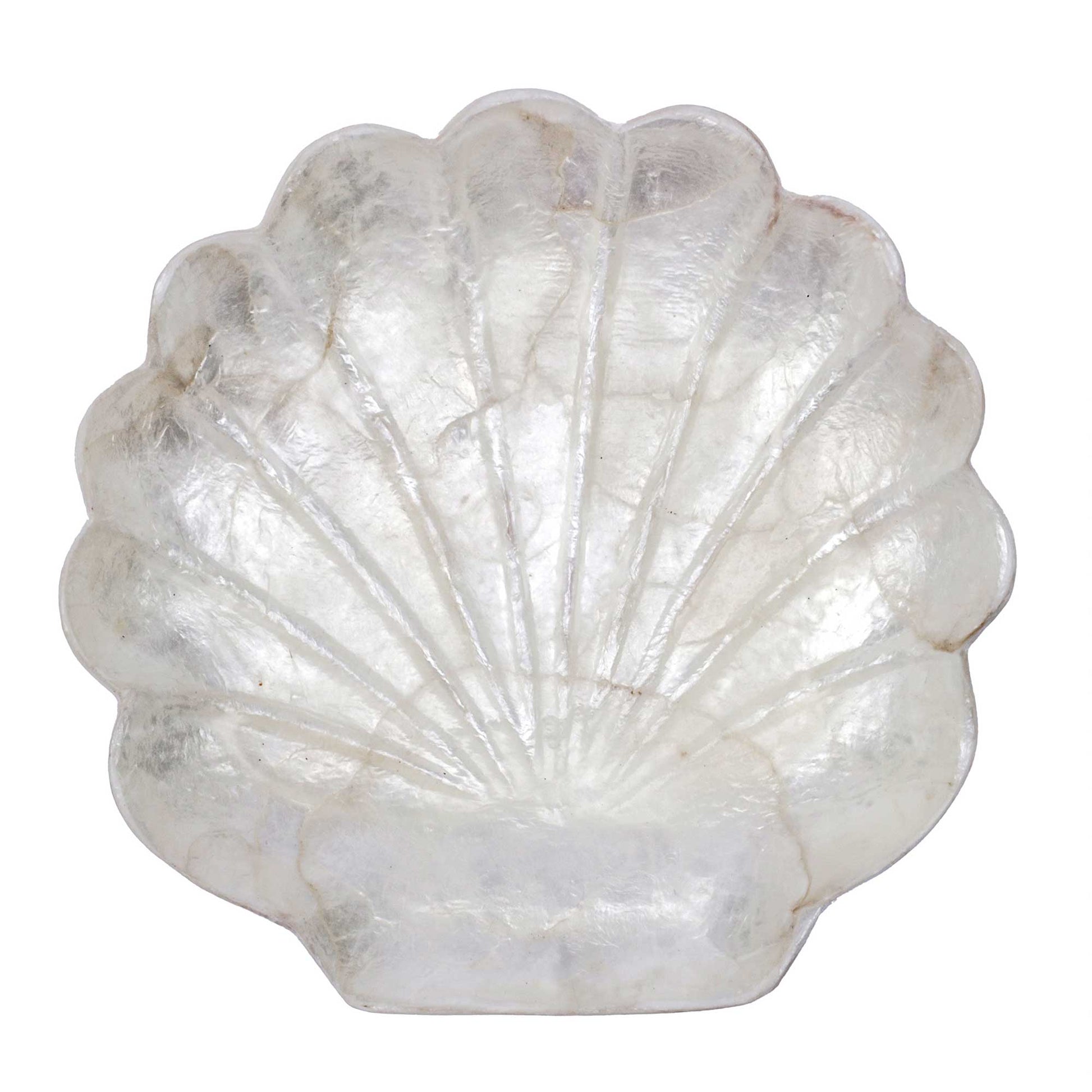 A scallop-shaped decorative tray or dish made from milky white mother-of-pearl with natural iridescent sheen and subtle gray-brown veining, shown on a plain white background.