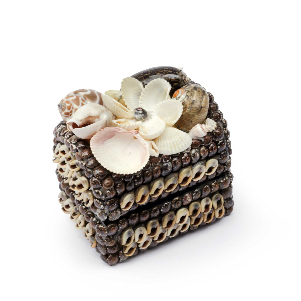 A decorative seashell jewelry box with a hinged lid, decorated with various real seashells and a white flower on top, set against a plain white background.