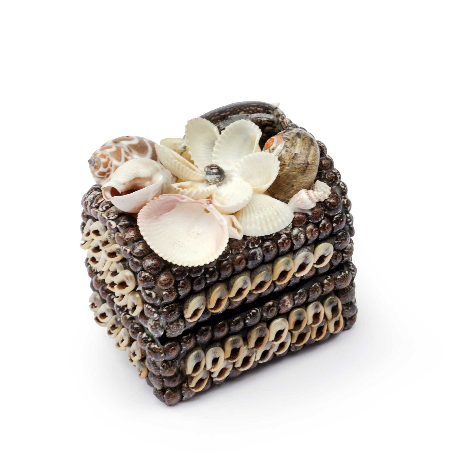 A decorative seashell jewelry box with a hinged lid, decorated with various real seashells and a white flower on top, set against a plain white background.