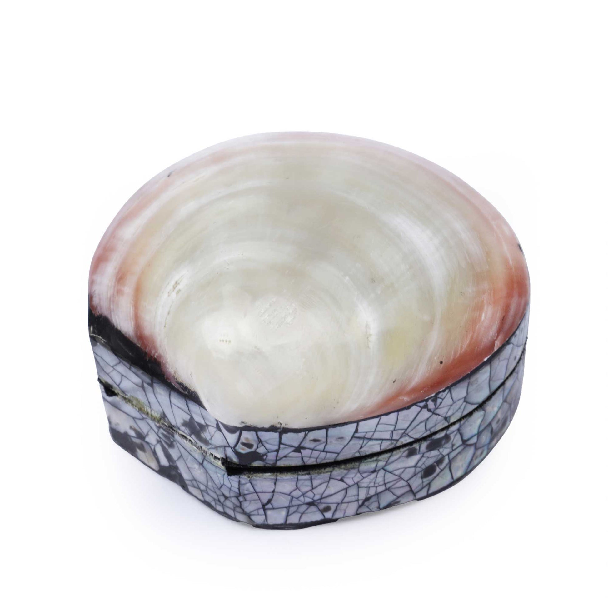 A small oval shell-shaped box with a glossy cream and peach interior and a dark patterned exterior featuring black and gray crackle lines, shown on a white background.