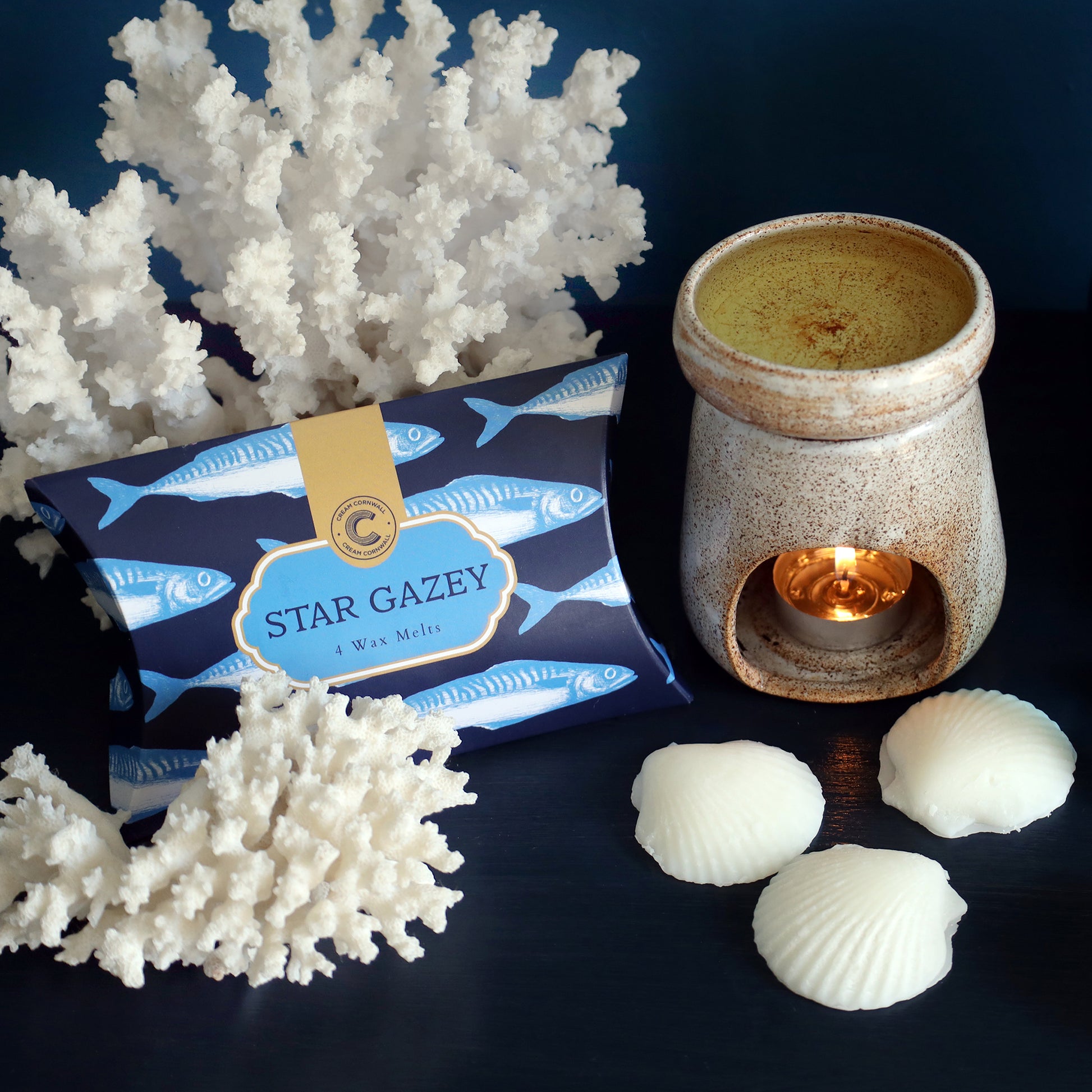 Star Gazey wax melts with decorative coral elements and an oil burner on a dark surface.