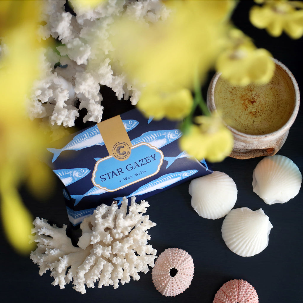 Star Gazey wax melts with decorative coral elements and an oil burner on a dark surface.