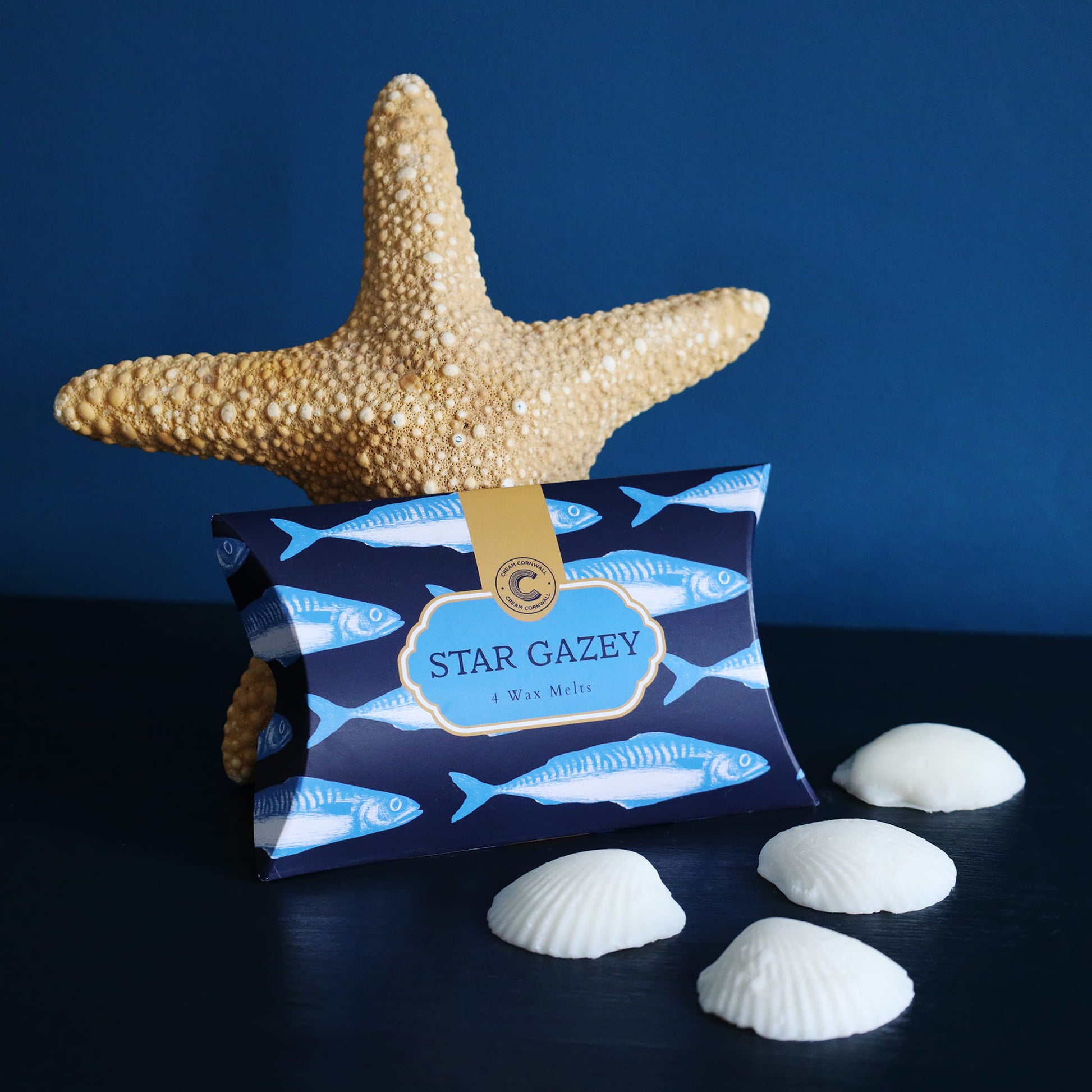 Box of 'Star Gazey' wax melts with a starfish and shells on a dark surface against a blue background