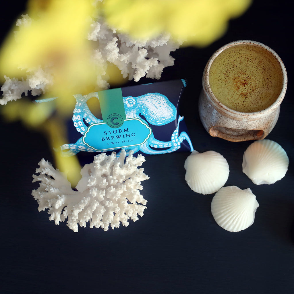 Bar of soap with 'Storm Brewing' packaging, ceramic mug, yellow flowers, and seashells on a dark surface.