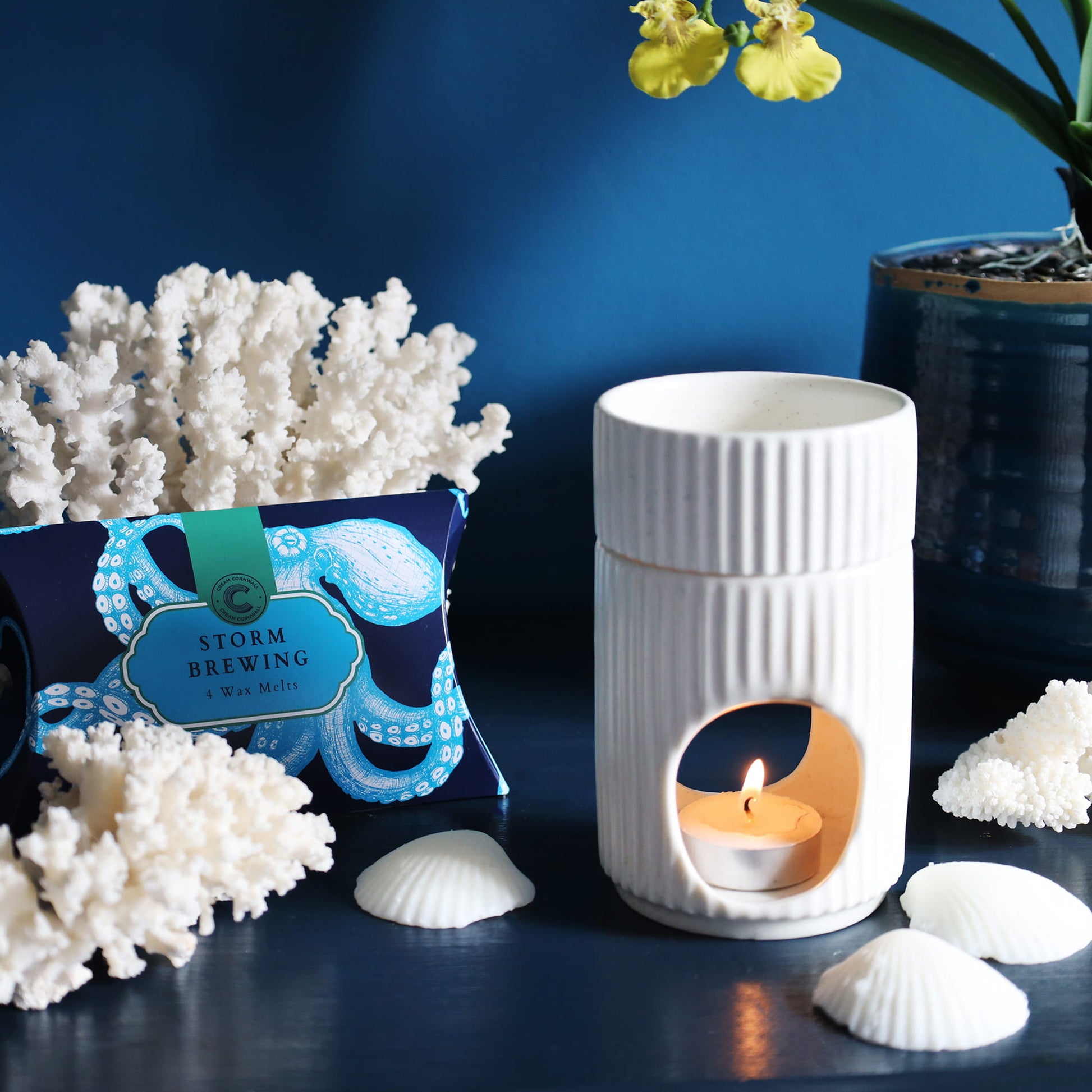 White textured diffuser with lit candle, surrounded by decorative elements like coral and shells on a dark surface.