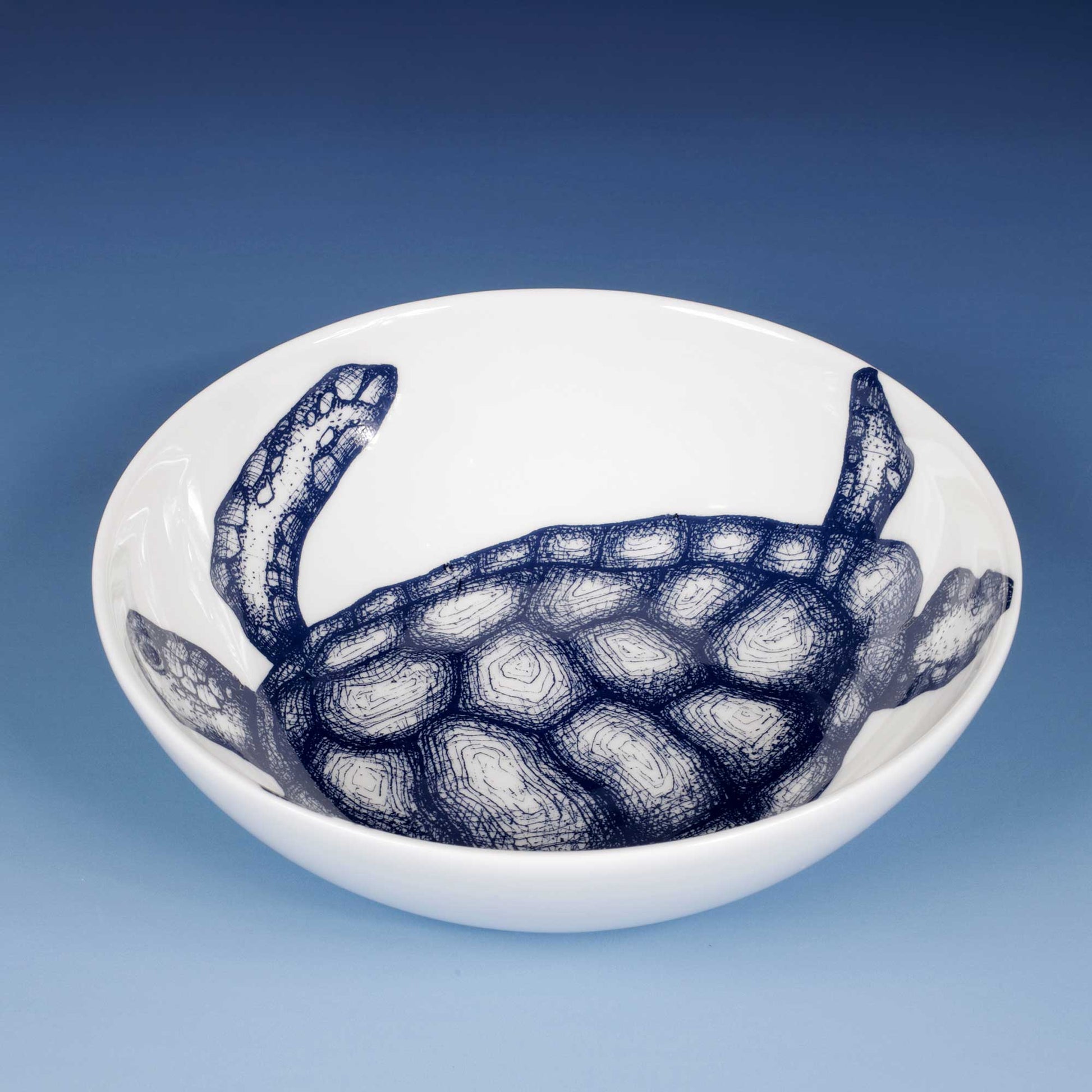A white ceramic bowl featuring a detailed navy blue sketch of a sea turtle printed inside the rim, set against a blue gradient background.