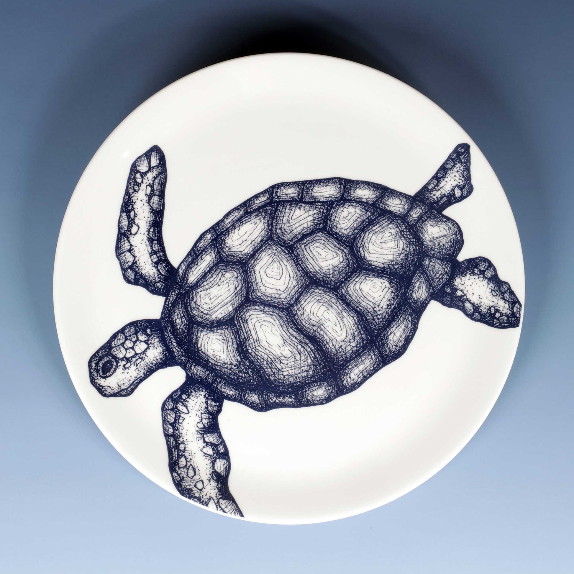 A round white ceramic plate featuring a detailed navy blue line art illustration of a sea turtle, shown from a top-down view against a soft blue gradient background.