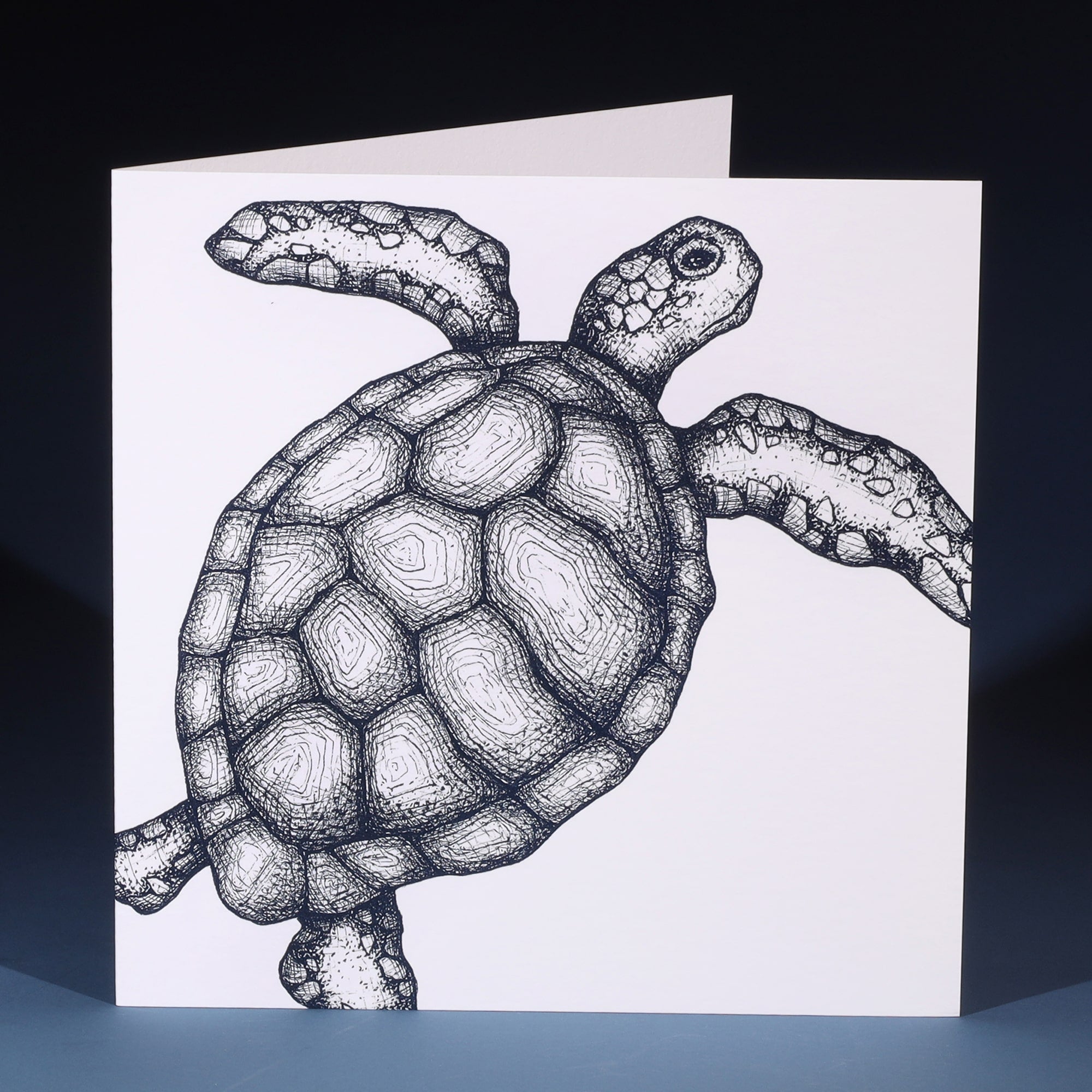 White greeting card with navy illustrated turtle.