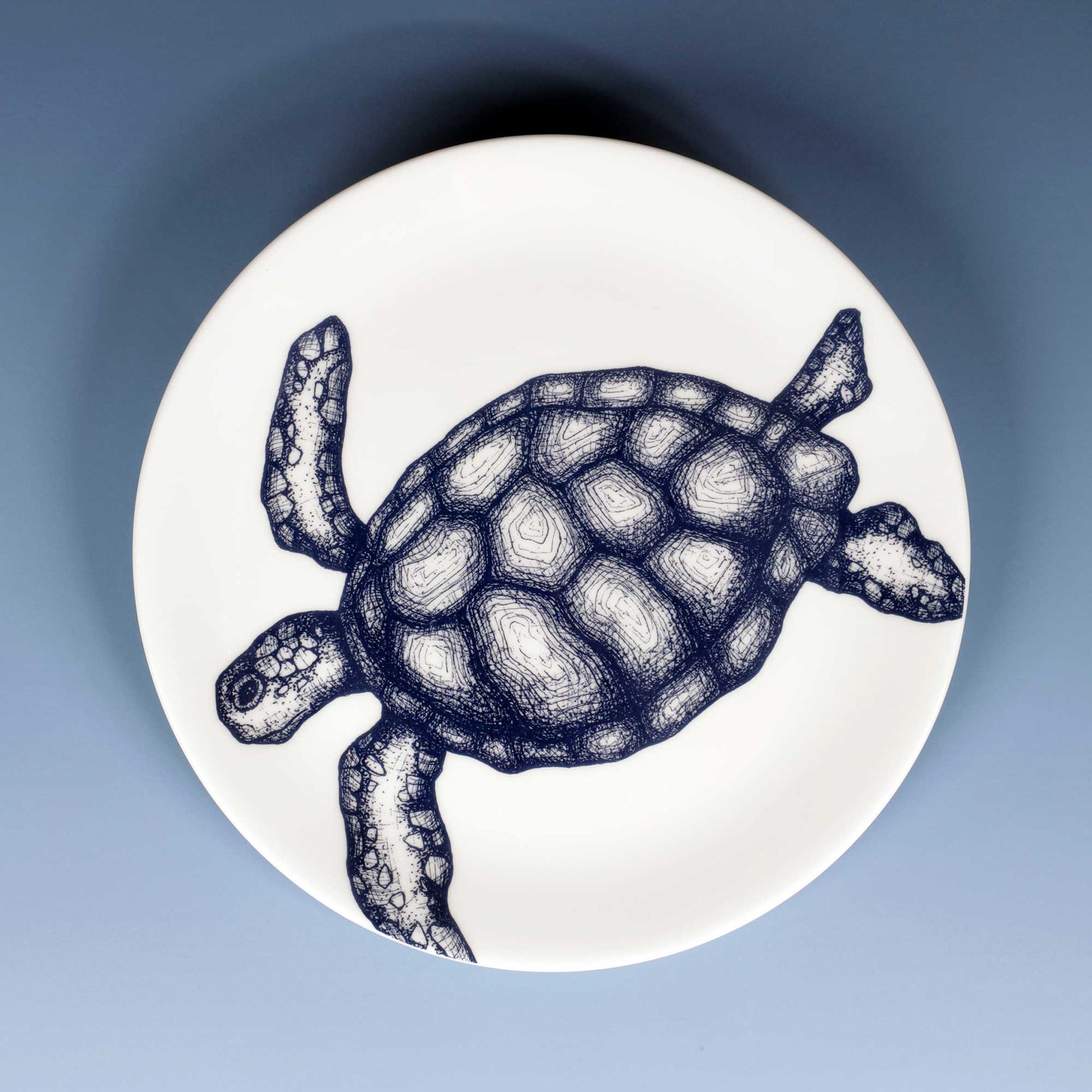 A round white plate featuring a detailed navy blue line art illustration of a sea turtle, shown from a top-down view against a soft blue gradient background.