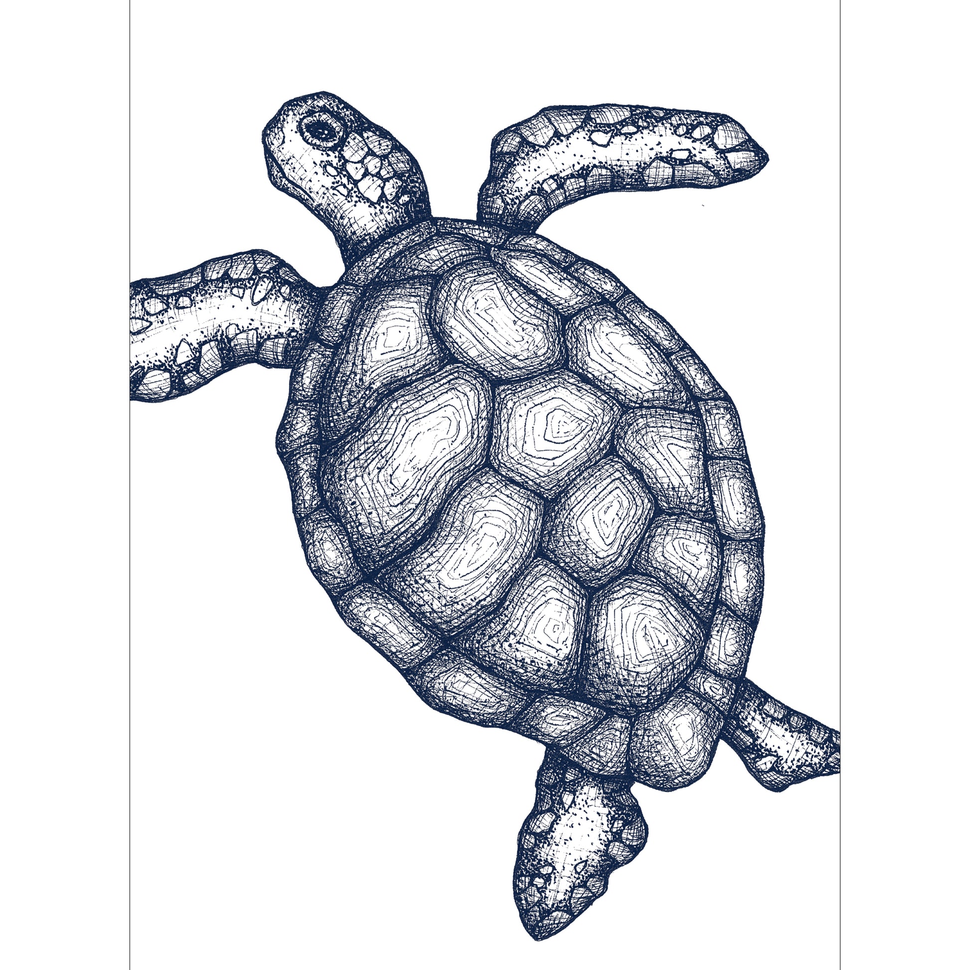 Turtle Tea Towel