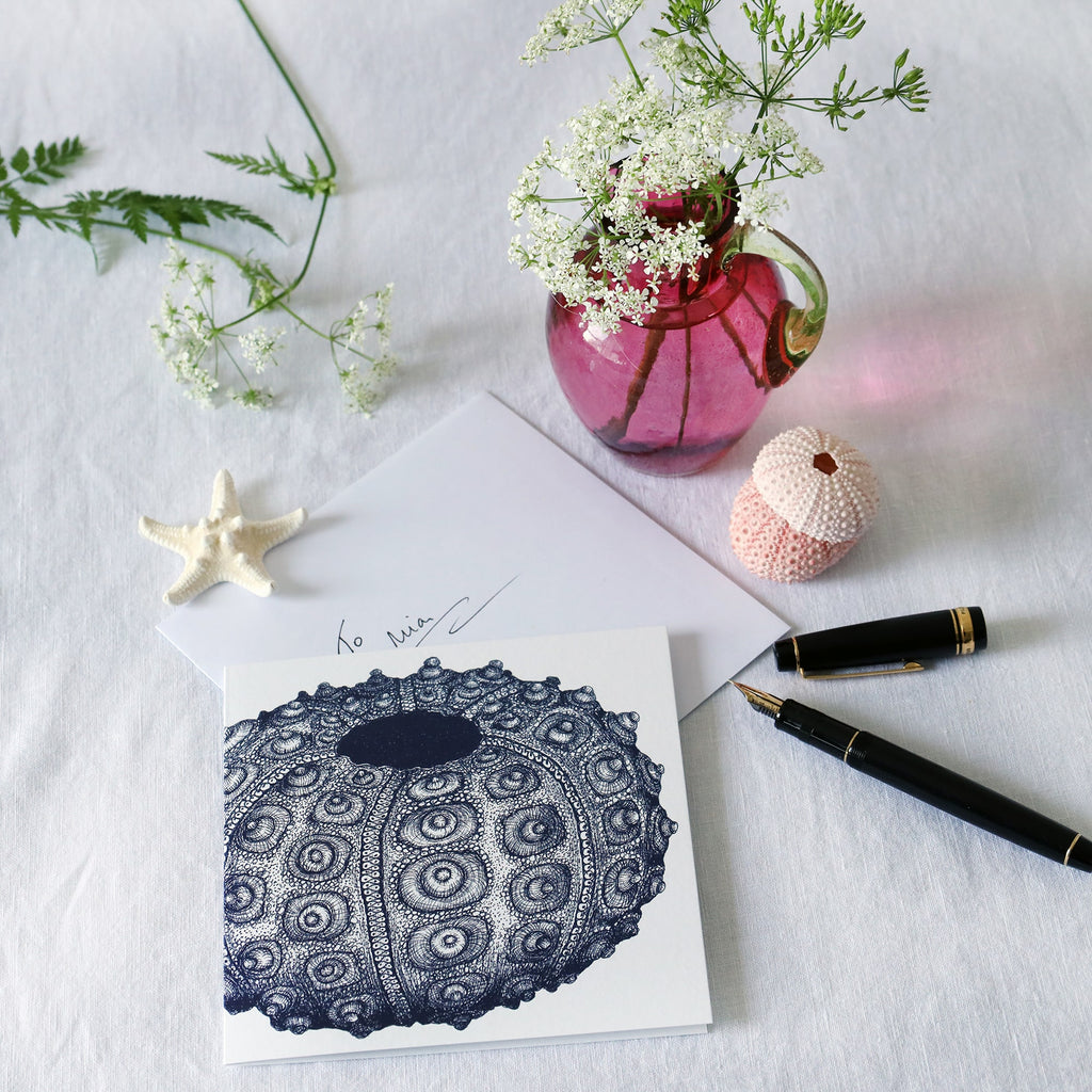 greeting card with nay illustrated sea urchin on white background lying on a white table cloth with a fountain pen, hand written envelope shells and a small cranberry glass jug with wild flowers in 