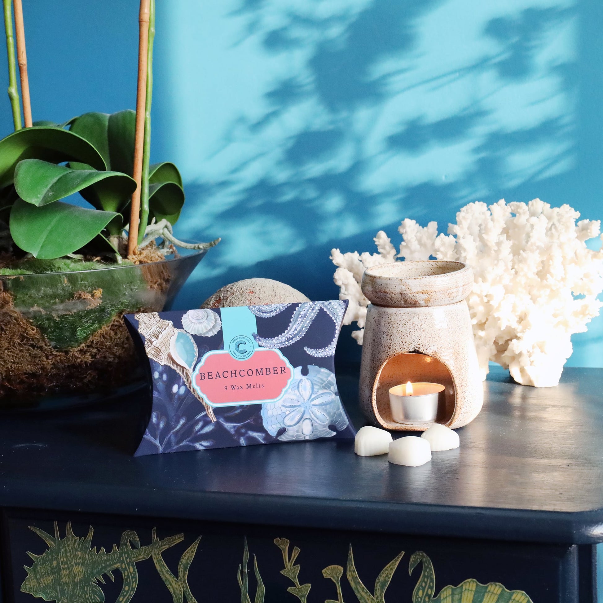 Box Of Nine Beachcomber Wax Melts