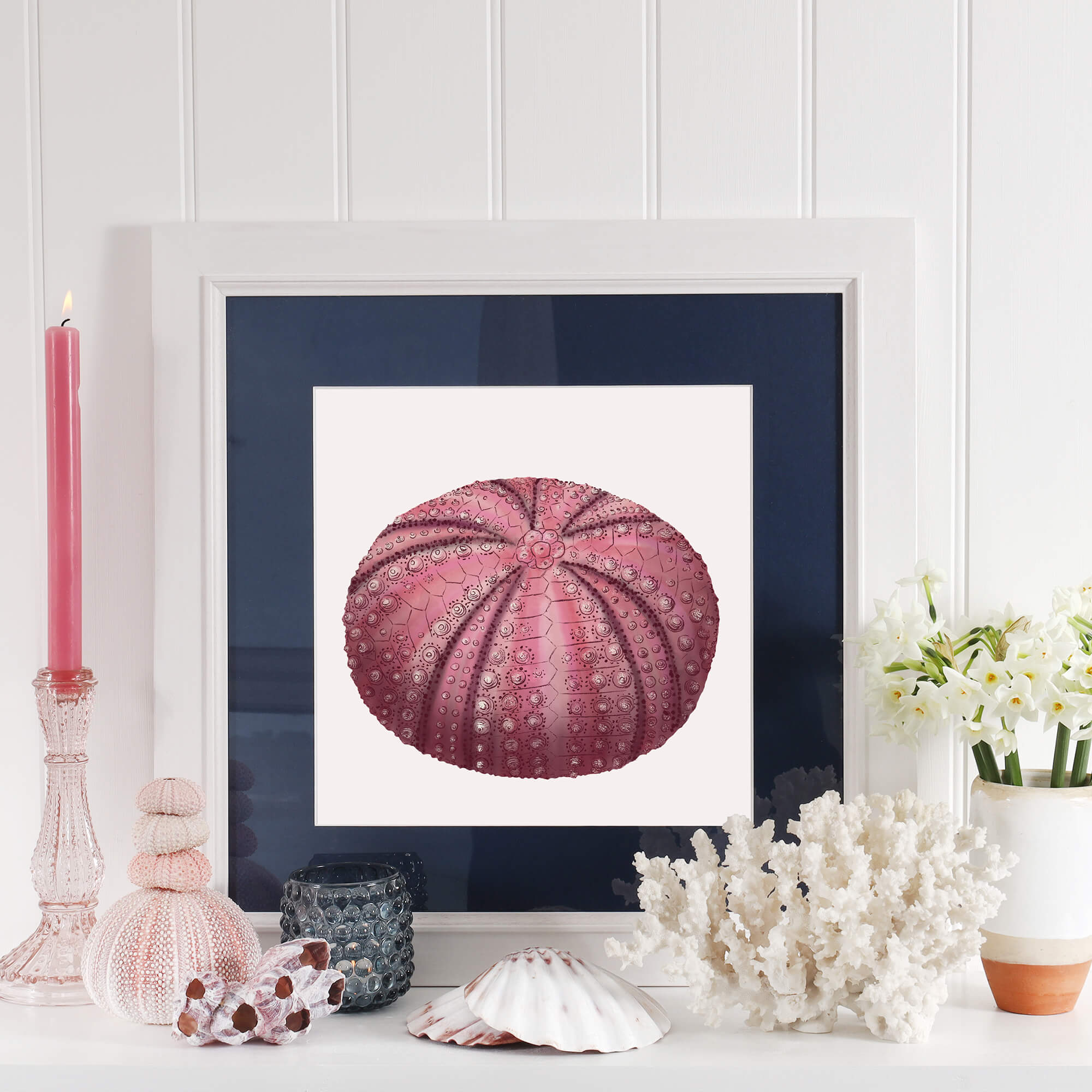 Sea Urchin Art Print  - 20cm & 30cm Square