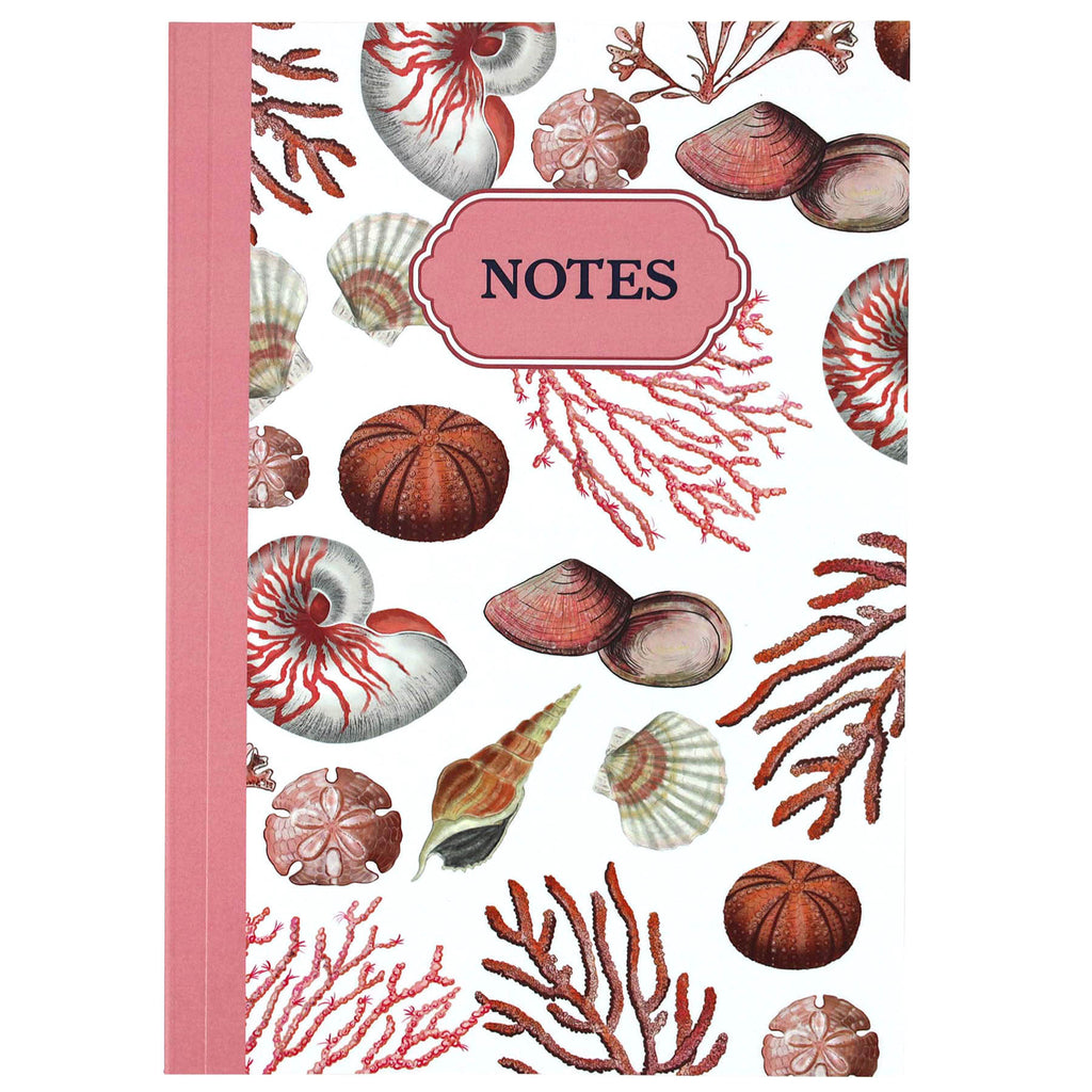 Shell Seeker Notebook -Accessories- Cream Cornwall