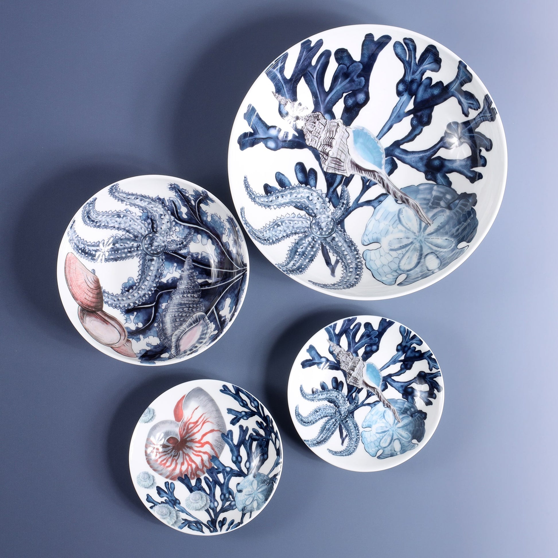 Aerial shot of Nibbles bowl in Bone China in our Beachcomber range in Navy and white in a Nautilus,seaweed and shells design next to the other beachcomber nibbles bowl with shells on.Next to those are other Beachcomber plates and a bowl