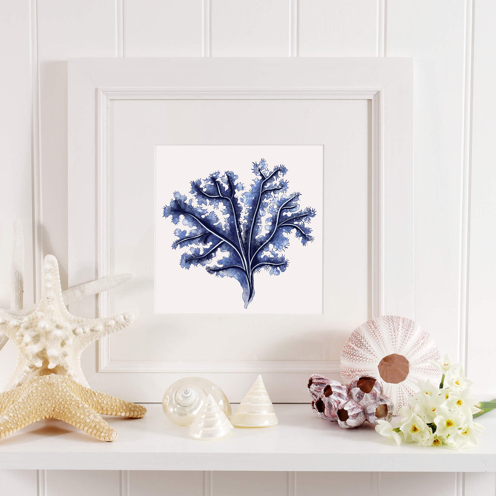 A framed blue seaweed illustration sits on a white shelf, surrounded by seashells, coral, and delicate white flowers, creating a serene coastal display.