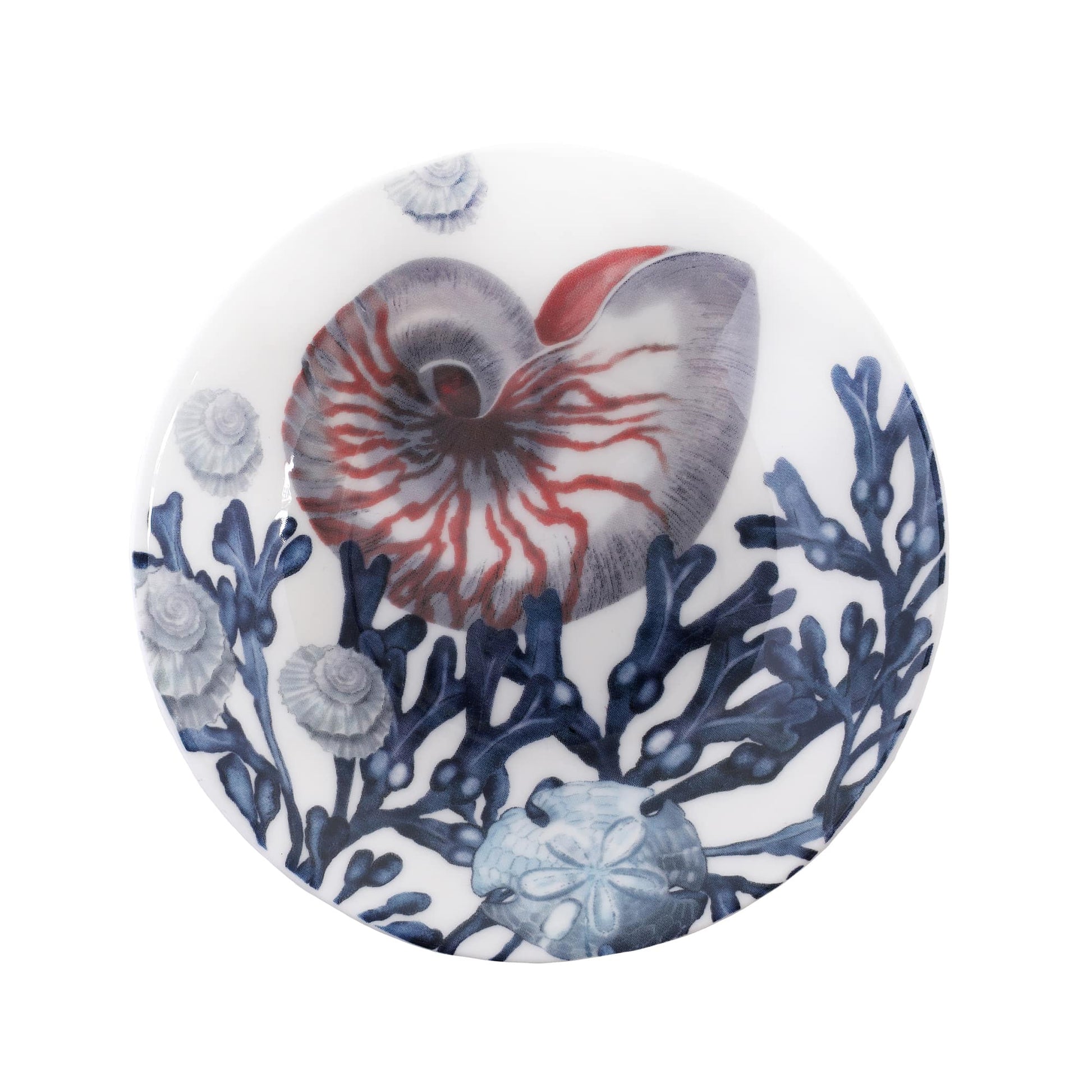 Nibbles bowl in Bone China in our Beachcomber range in Navy and white in a Nautilus,seaweed and shells desi