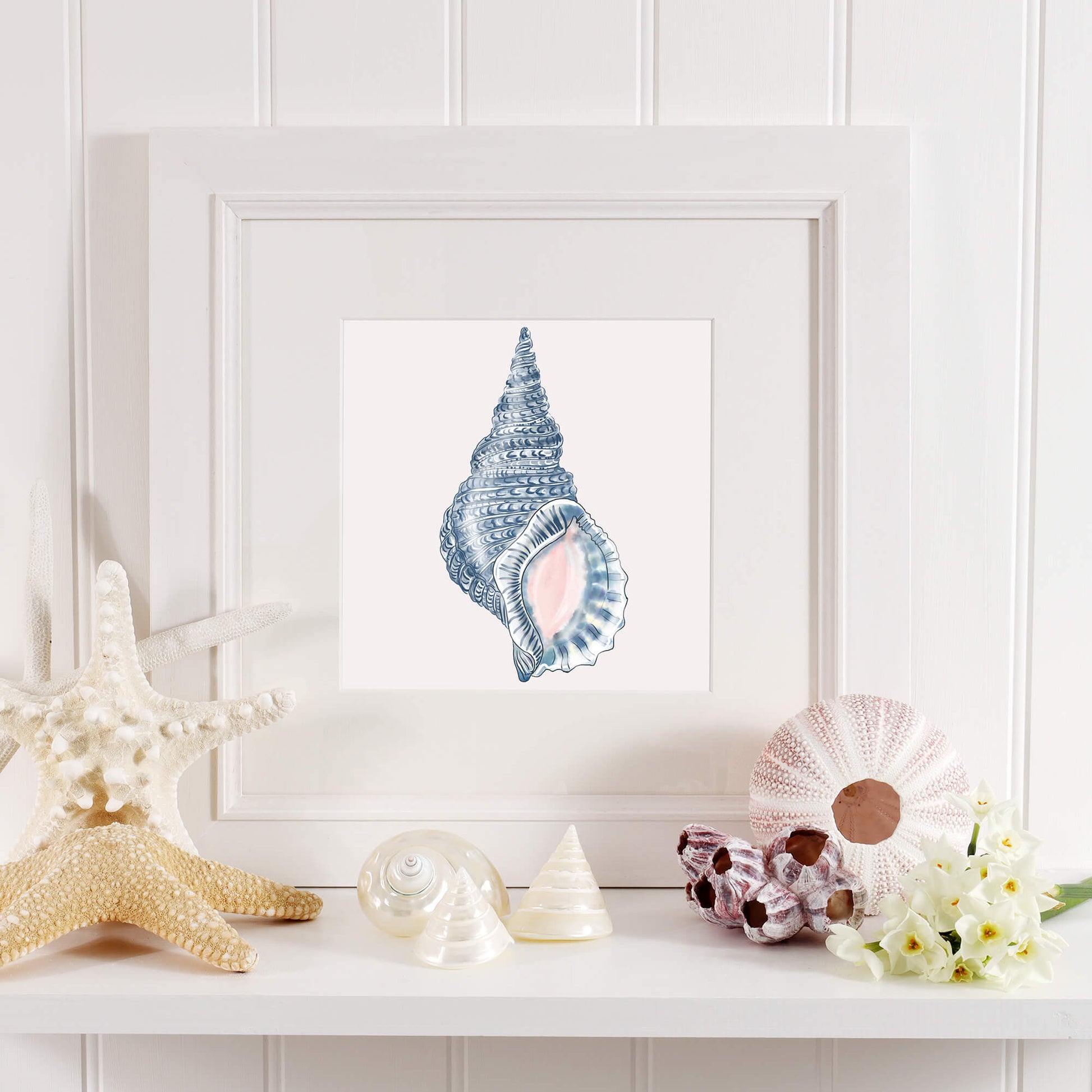 A coastal-themed shelf display featuring a framed artwork of a detailed blue whelk shell with soft pink accents. Surrounding the frame are decorative marine elements, including a large white starfish, pearl-toned shells, a pink sea urchin, and delicate white flowers. The arrangement is set against a white paneled wall, creating a serene and beach-inspired aesthetic.