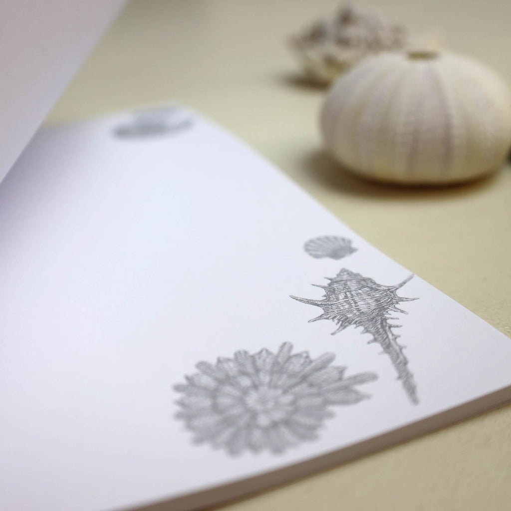 Shell Seeker Notebook -Accessories- Cream Cornwall