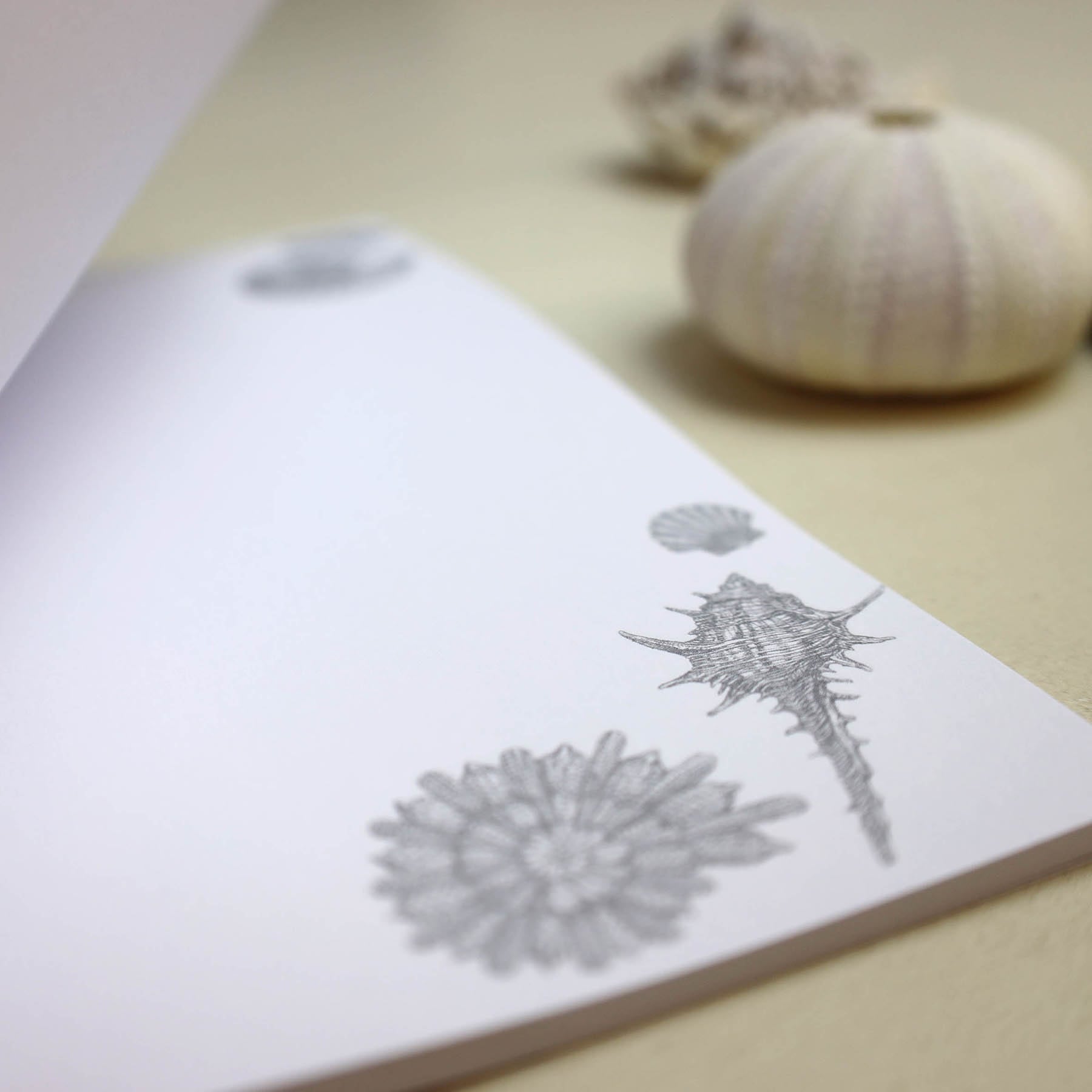 Shell Seeker Notebook -Accessories- Cream Cornwall