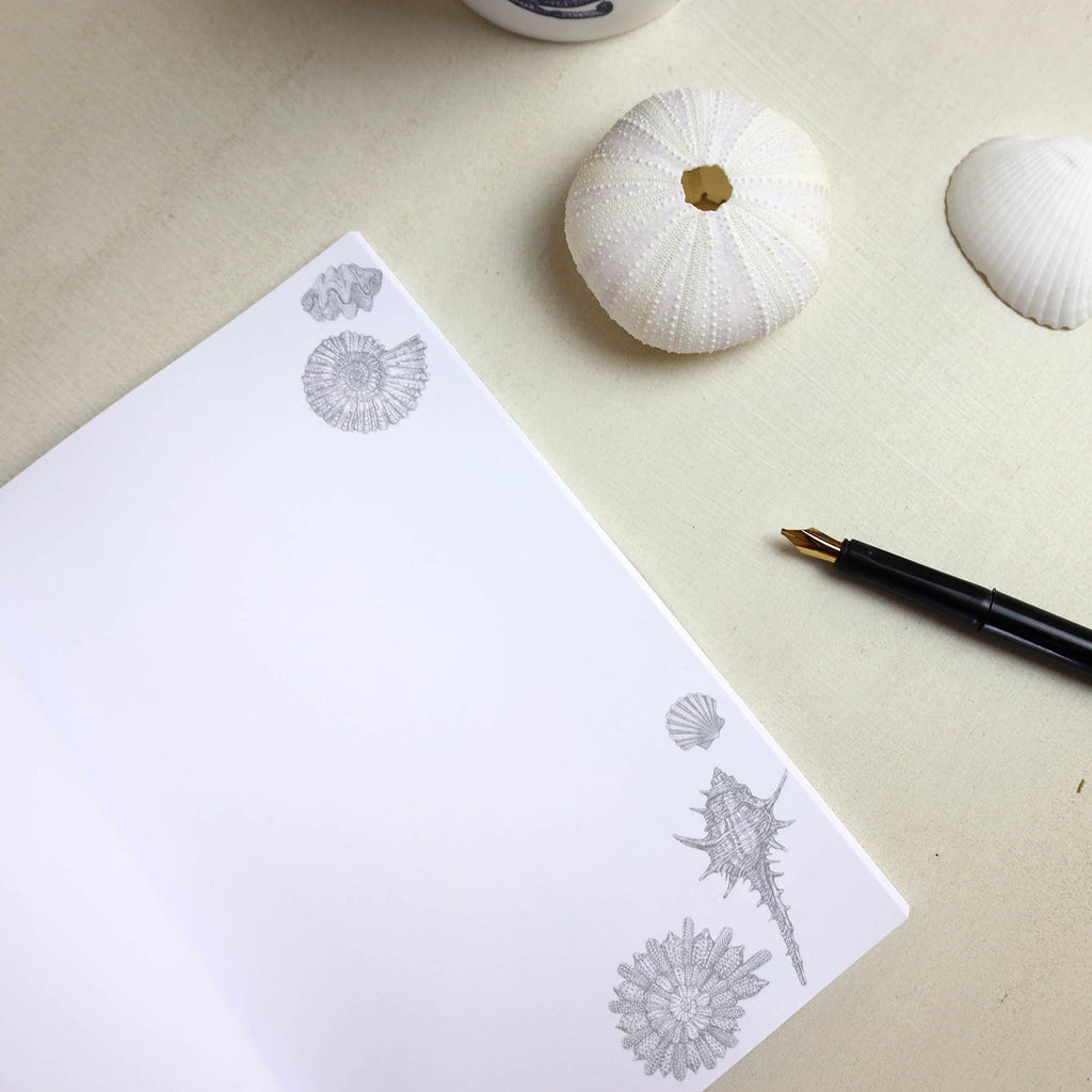 Shell Seeker Notebook -Accessories- Cream Cornwall