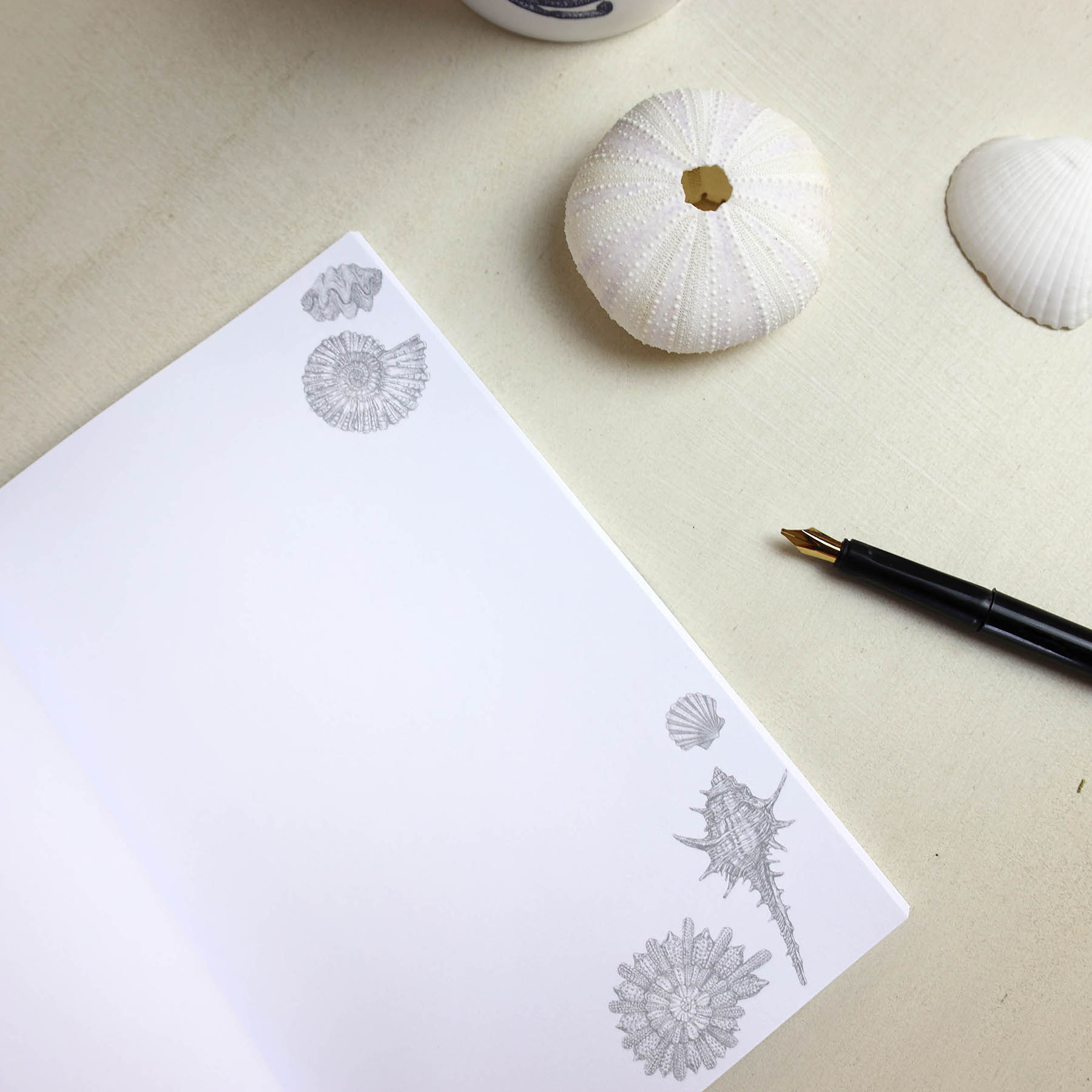 Shell Seeker Notebook -Accessories- Cream Cornwall