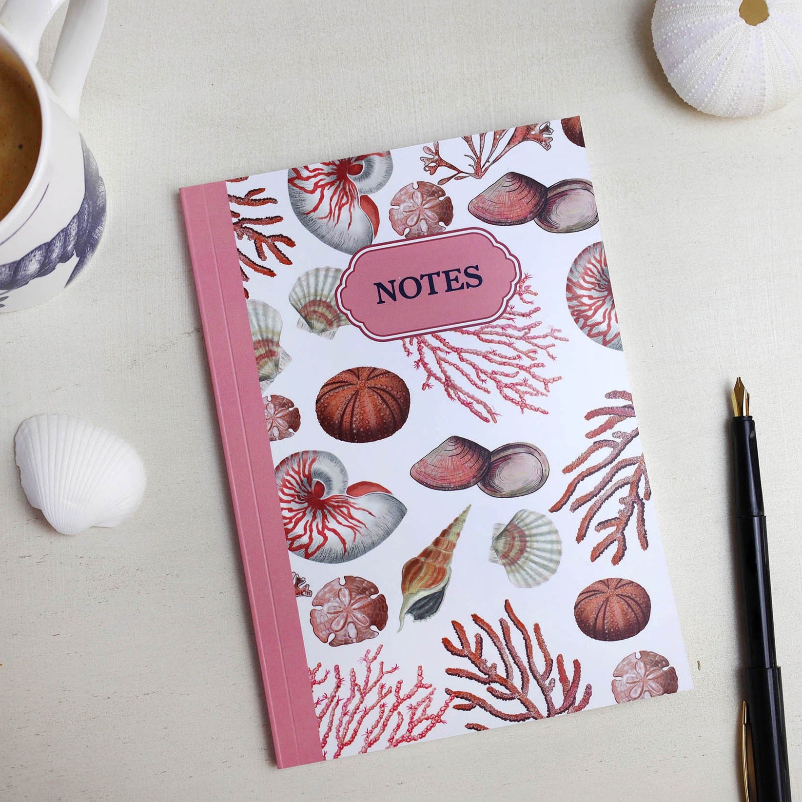 Shell Seeker Notebook -Accessories- Cream Cornwall