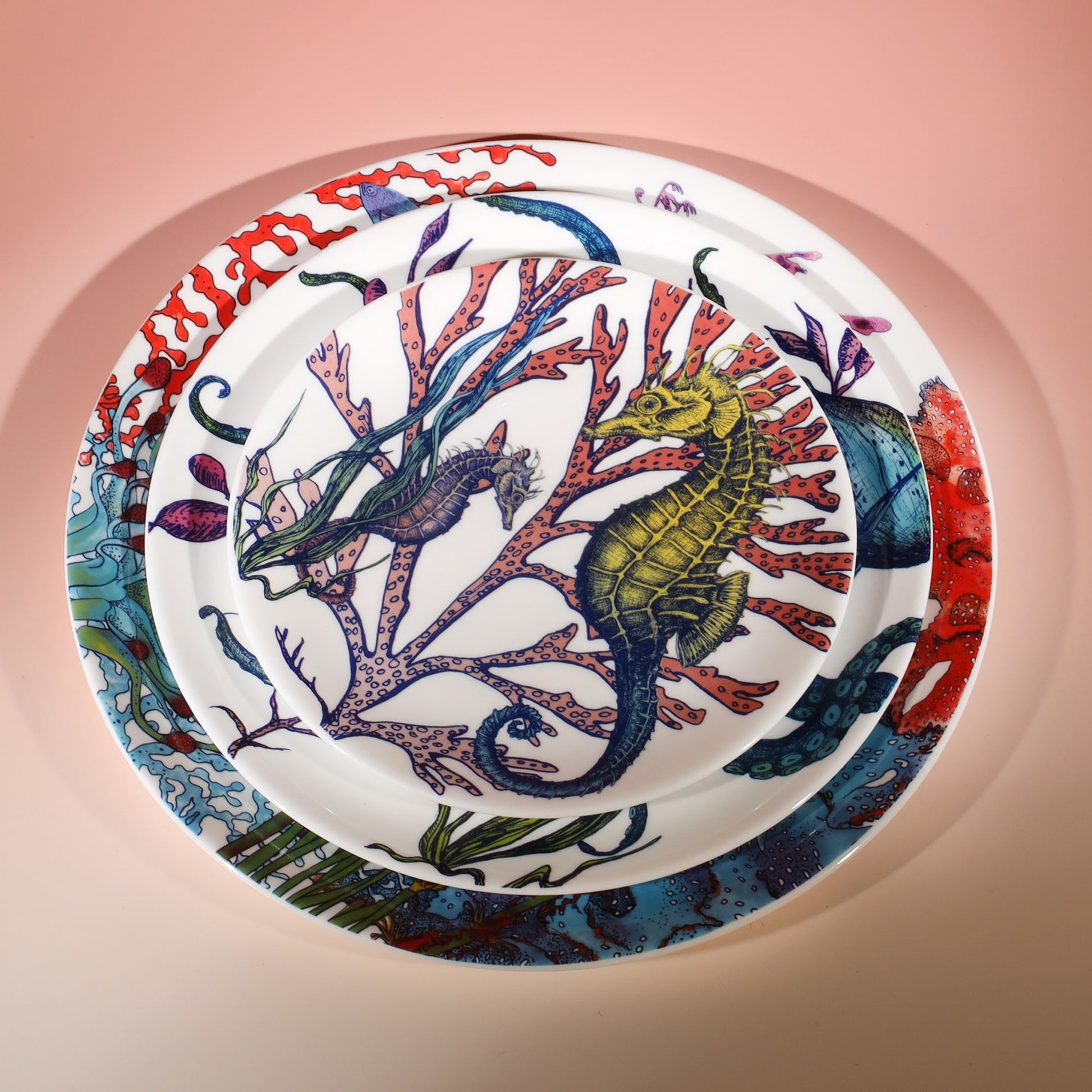 Bone China White plate with hand drawn illustration our Octopus Reef in various colours.Also is a large decorated reef dinner plate and a side plate an gorgeous reef colours