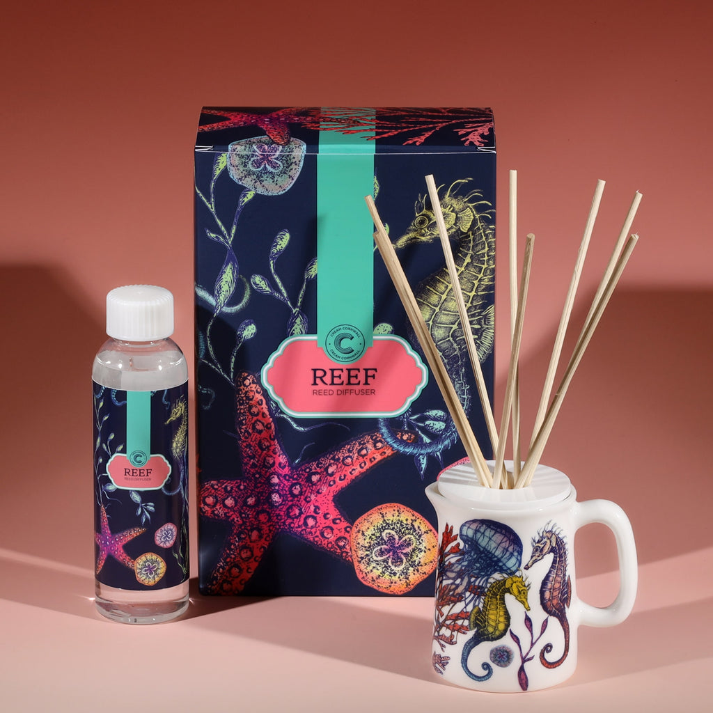 Reef candle and diffuser gift set displayed in a festive scene, featuring a lit candle in a marine-themed holder, a reed diffuser with seahorse design, and matching illustrated boxes with coral and sea life patterns, surrounded by starfish and seashell decorations against a red background with soft glowing lights.