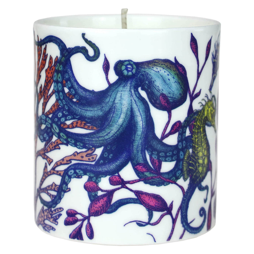 Reef Candle