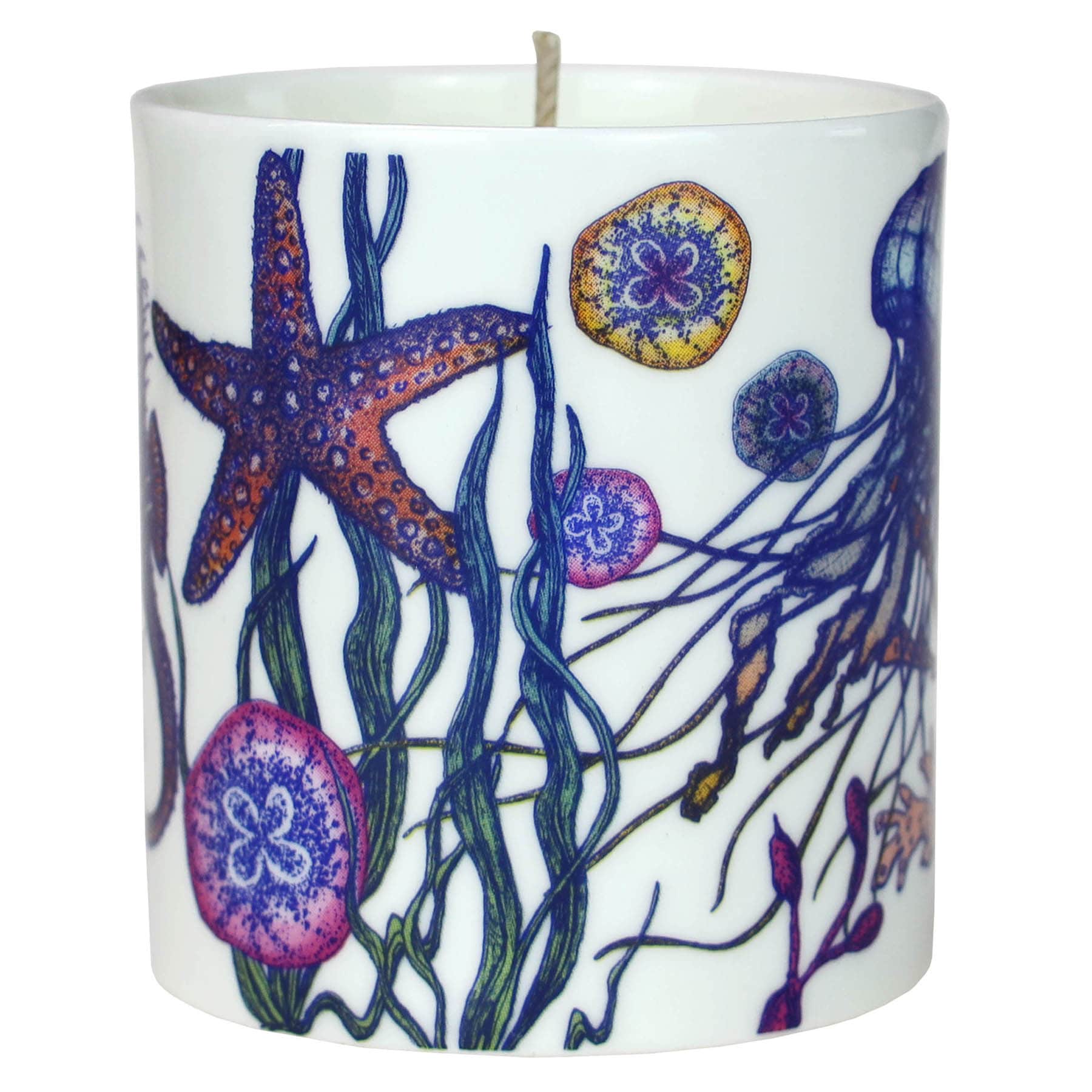 Reef Candle