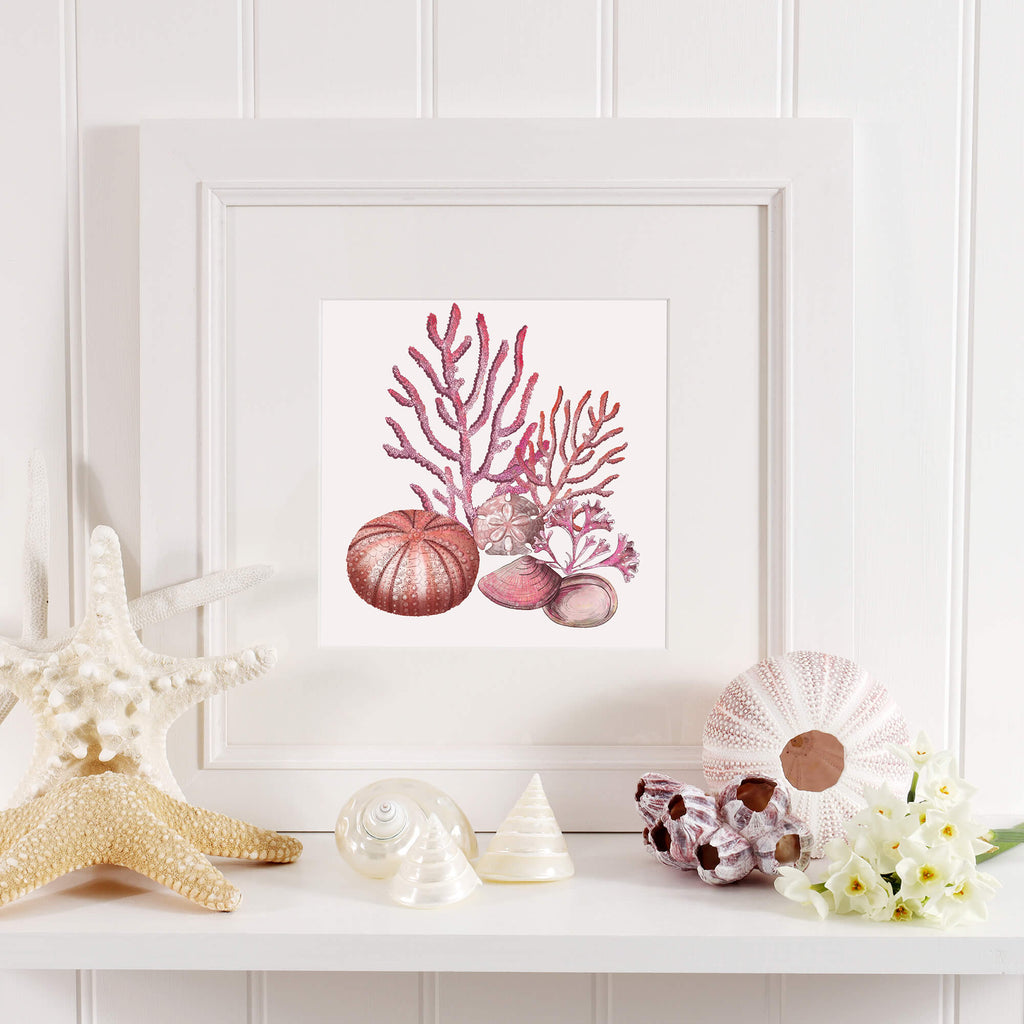 A coastal-inspired shelf display featuring a framed artwork of red coral, a sea urchin, a sand dollar, and various seashells. Surrounding the frame are decorative marine elements, including a large white starfish, pearl-toned shells, a pink sea urchin, and delicate white flowers. The arrangement is set against a white paneled wall, creating a serene and beach-inspired aesthetic.