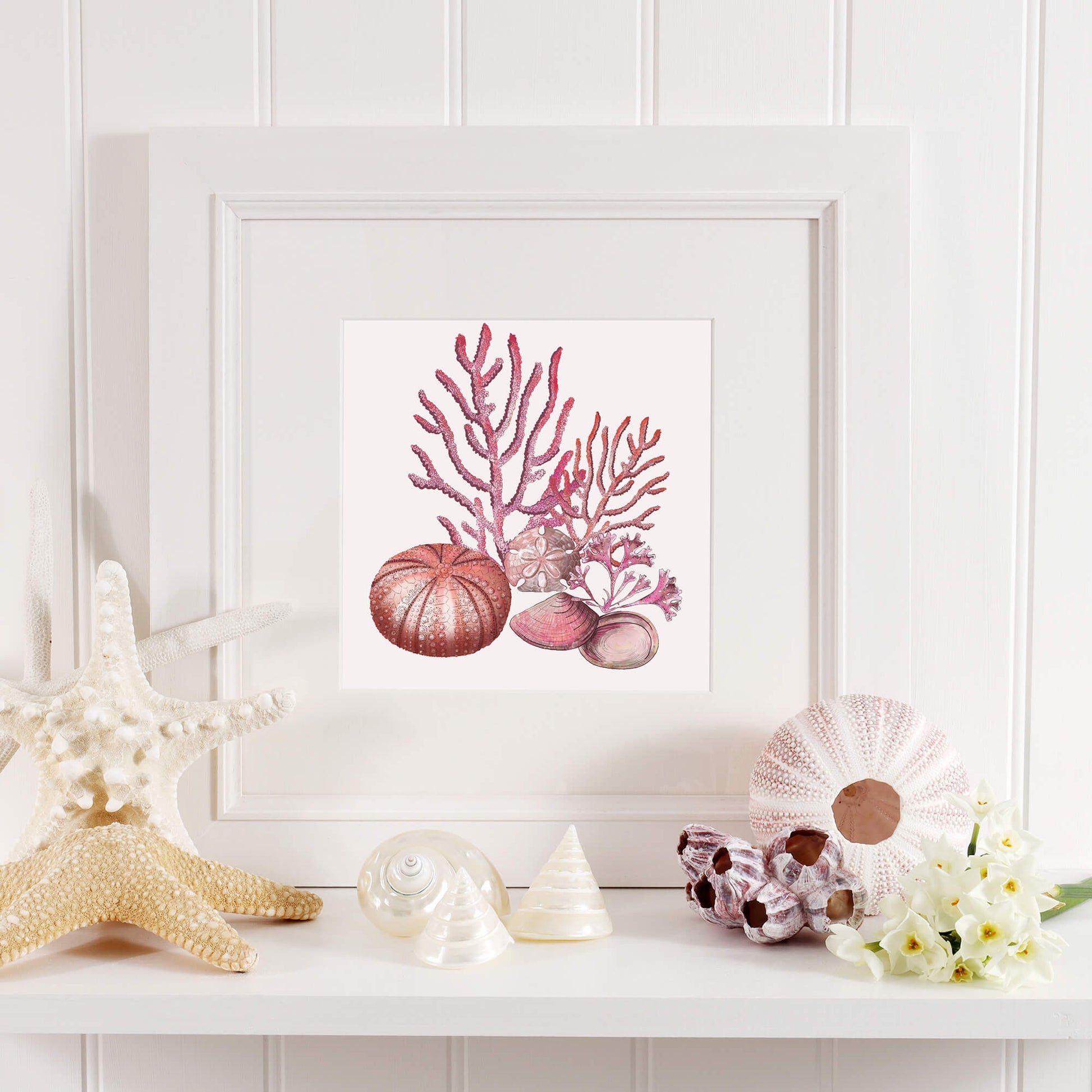 A coastal-inspired shelf display featuring a framed artwork of red coral, a sea urchin, a sand dollar, and various seashells. Surrounding the frame are decorative marine elements, including a large white starfish, pearl-toned shells, a pink sea urchin, and delicate white flowers. The arrangement is set against a white paneled wall, creating a serene and beach-inspired aesthetic.