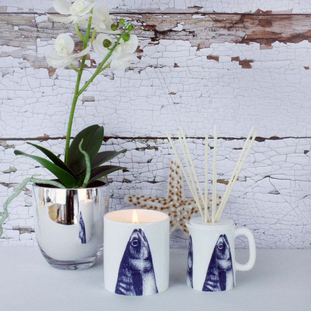 Stargazey Reed Diffuser -Accessories- Cream Cornwall